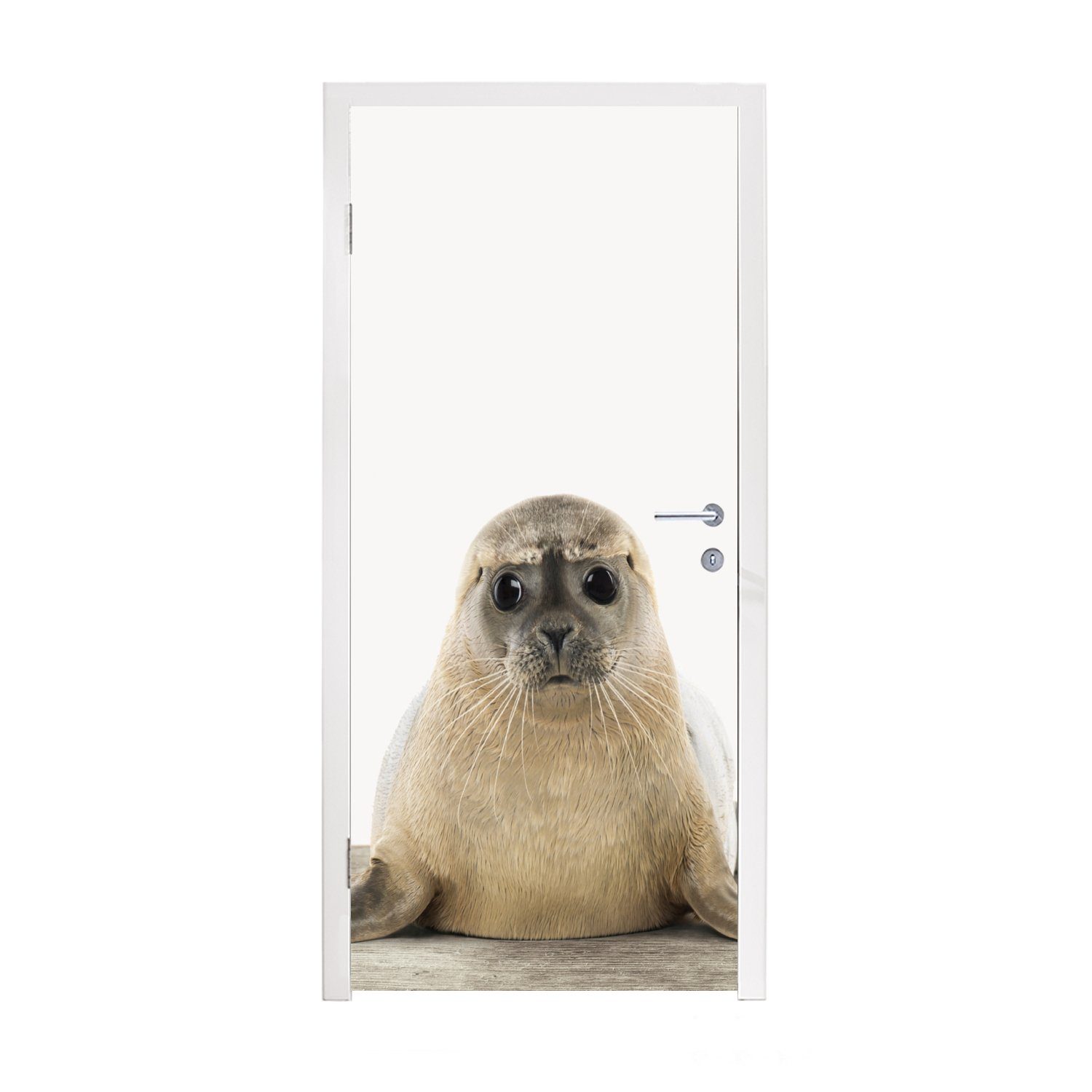 MuchoWow Türtapete Robbe - Tiere - Kinder - Jungen - Mädchen - Kinder, Matt, bedruckt, (1 St), Fototapete für Tür, Türaufkleber, 75x205 cm