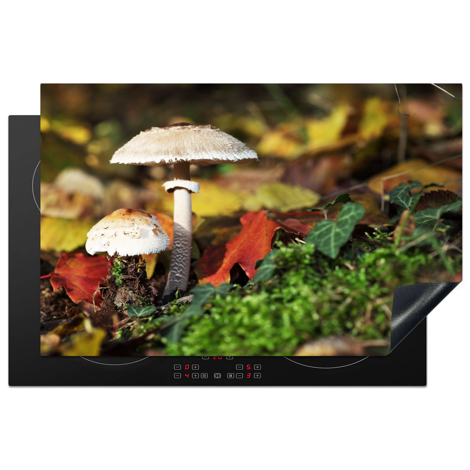 MuchoWow Herdblende-/Abdeckplatte Pilze in einem Wald, Vinyl, (1 tlg), 81x52 cm, Induktionskochfeld Schutz für die küche, Ceranfeldabdeckung | Herdabdeckplatten