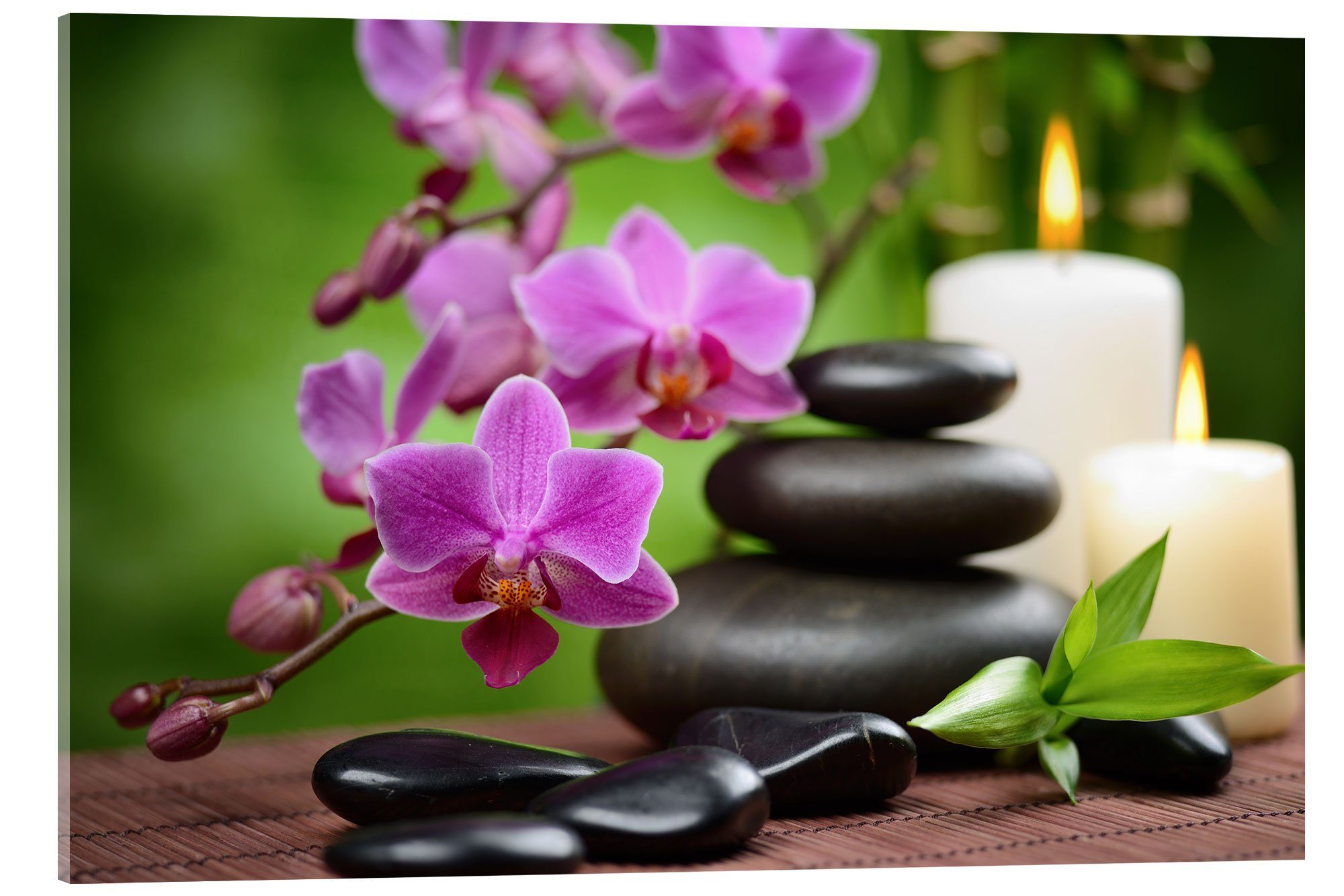 Posterlounge Poster Editors Choice, Wellness-Stillleben mit günstig online kaufen