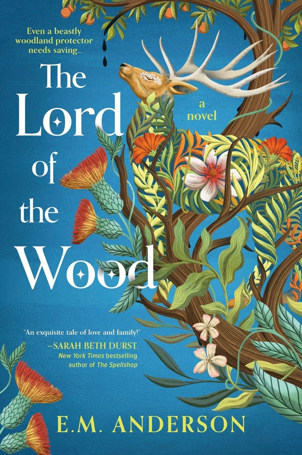 The Lord of the Wood / E. M. Anderson