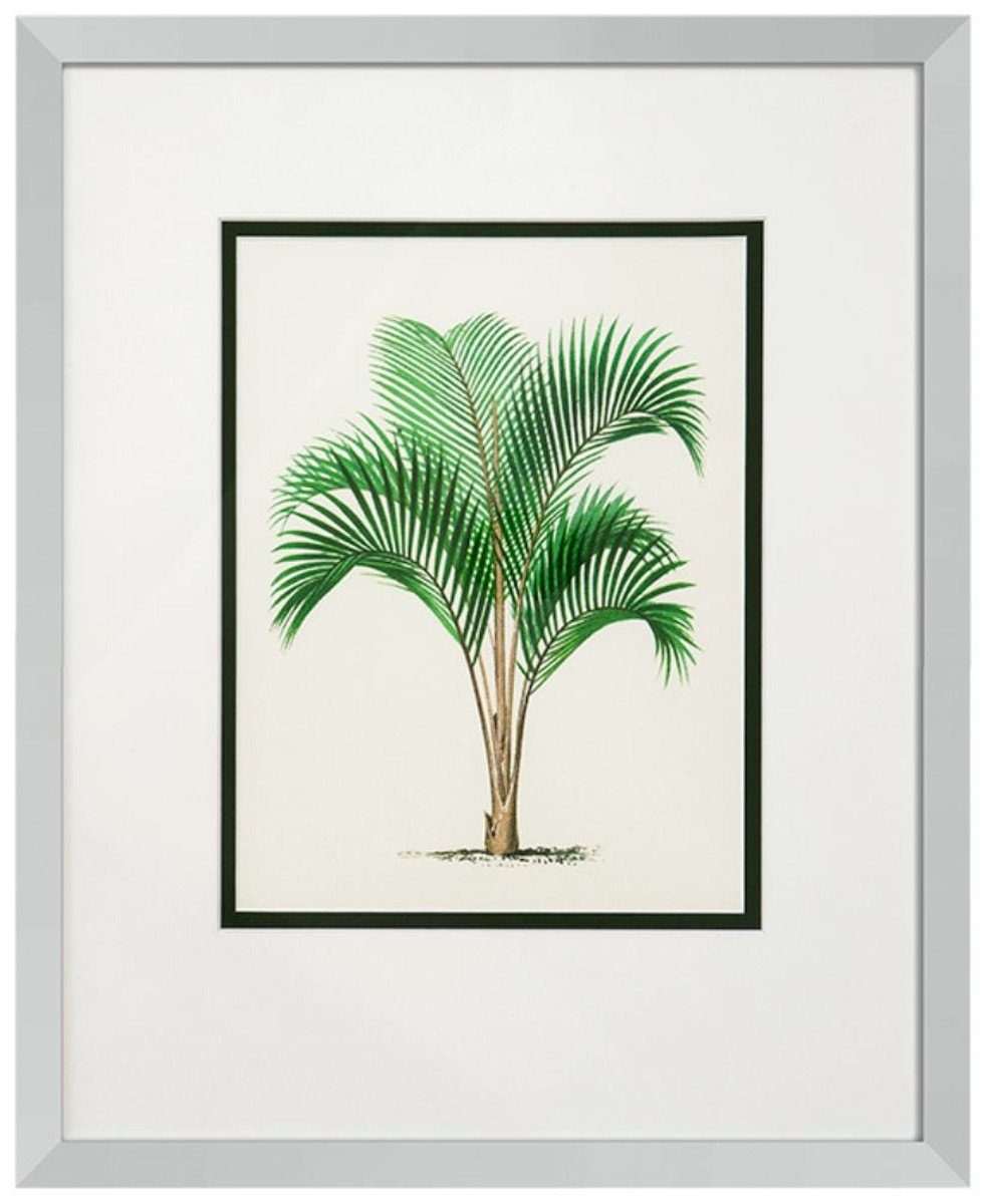 Set x Luxus cm Palmen / Mehrfarbig Casa Padrino Kunstdruck H. Bilder - 4er Deko 53 43 Bilderrahmen