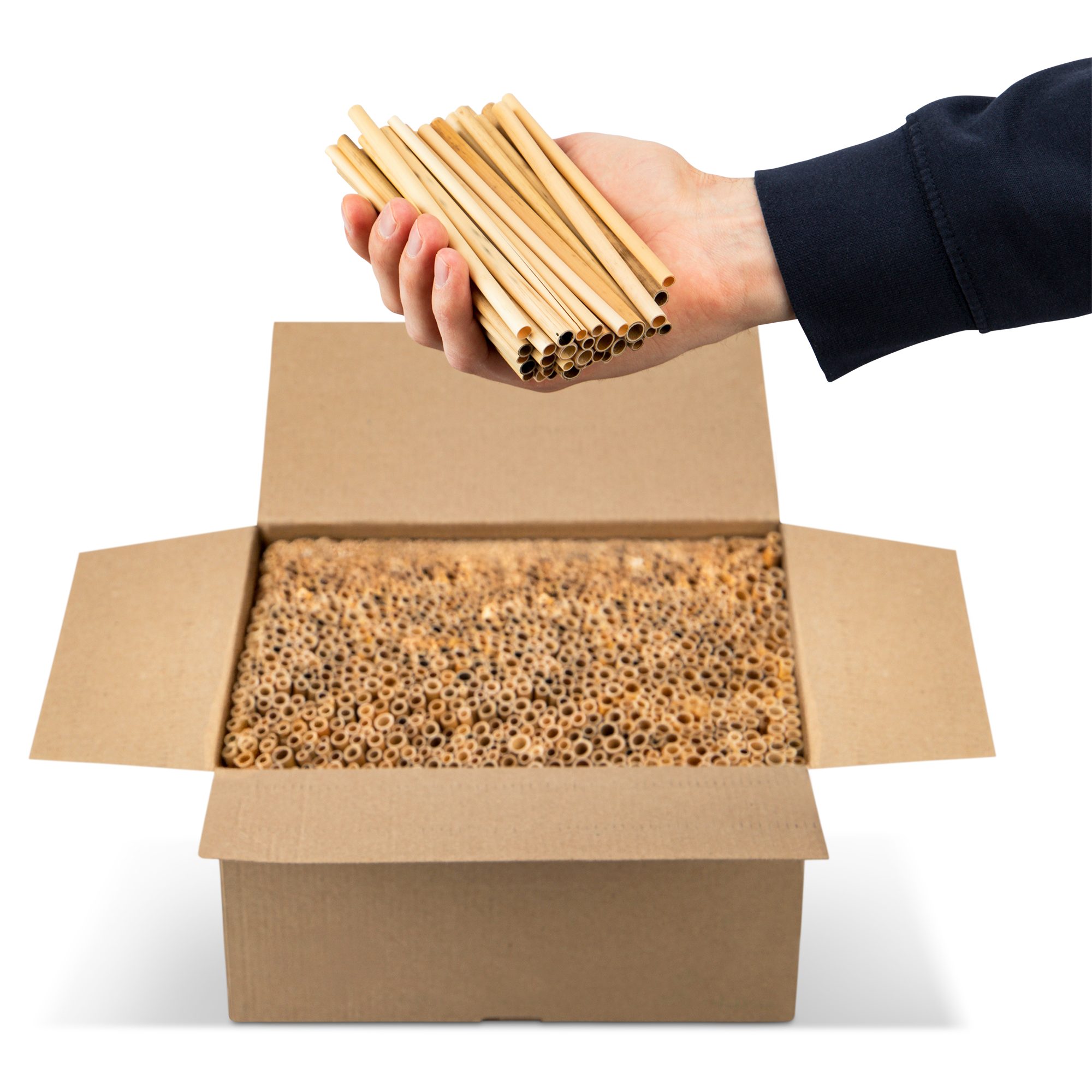 BEESI Insektenhotel 1000x Naturbelassen Niströhren für Wildbienen aus Schilf 14 cm lang, (I Insektenhotel Füllmaterial, 1000-St., I Nisthülsen für Insektenhotel I Bienenhotel Röhrchen), Durchmesser 3-7 mm inkl. E-Book