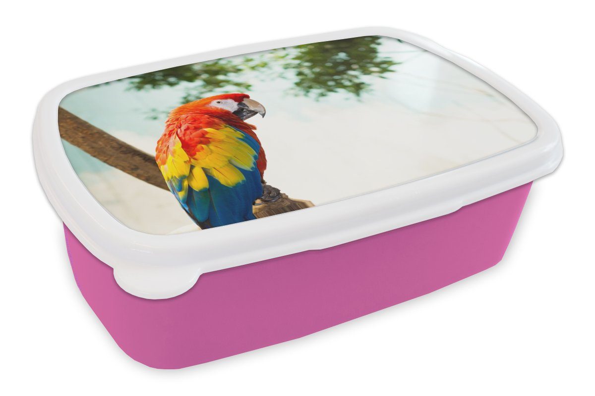 MuchoWow Lunchbox Papagei - Vogel - Regenbogen - Tropisch, Kunststoff, (2-tlg), Brotbox für Erwachsene, Brotdose Kinder, Snackbox, Mädchen, Kunststoff rosa