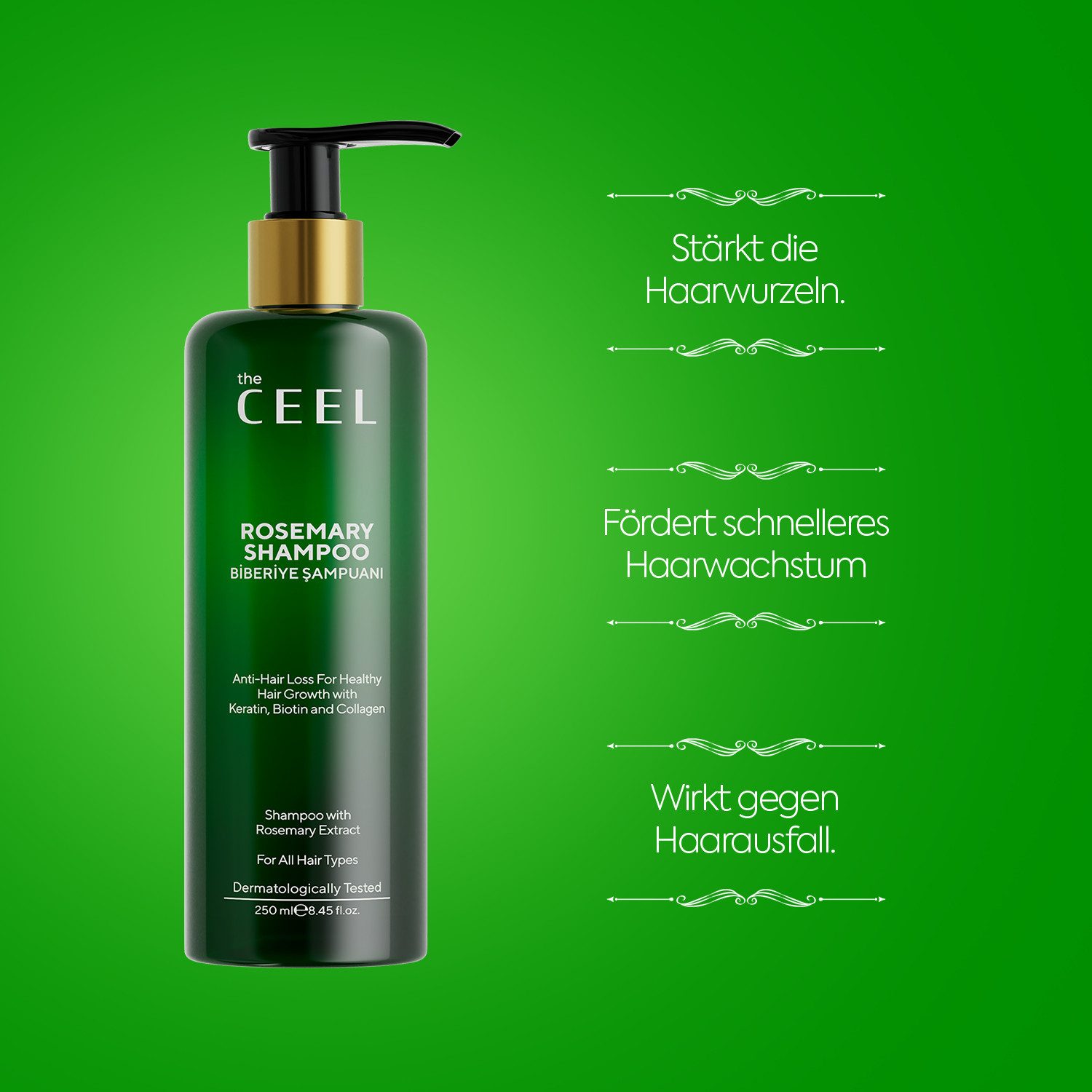 THE CEEL Haarshampoo Rosmarin Shampoo–Haarwachstum fördern & Kräftigung mit Kollagen 250ml, Keratin, Biotin, hydrolysiertes Kollagen-Extrakt