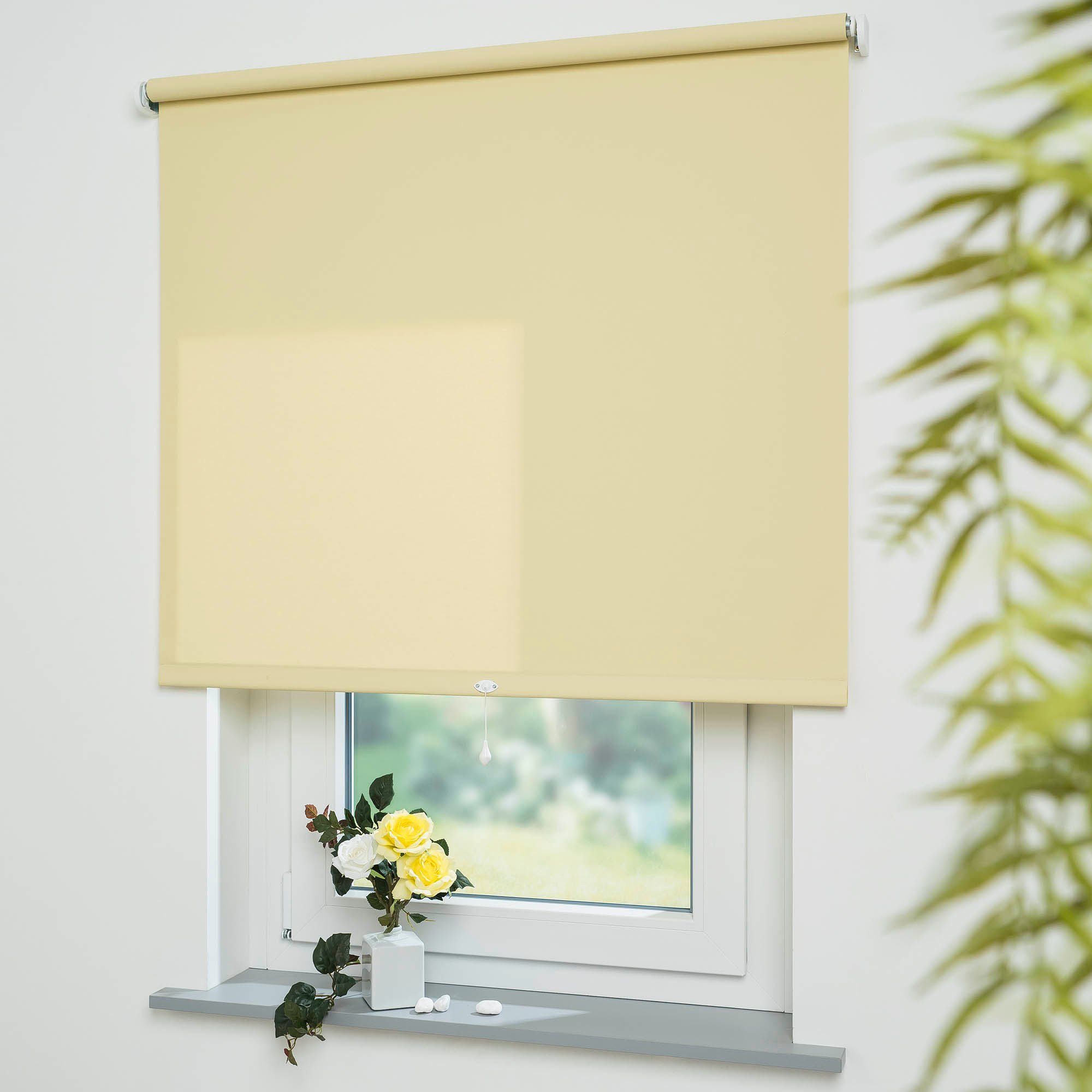 Springrollo Uni, Liedeco, Lichtschutz, mit Bohren, günstig online kaufen