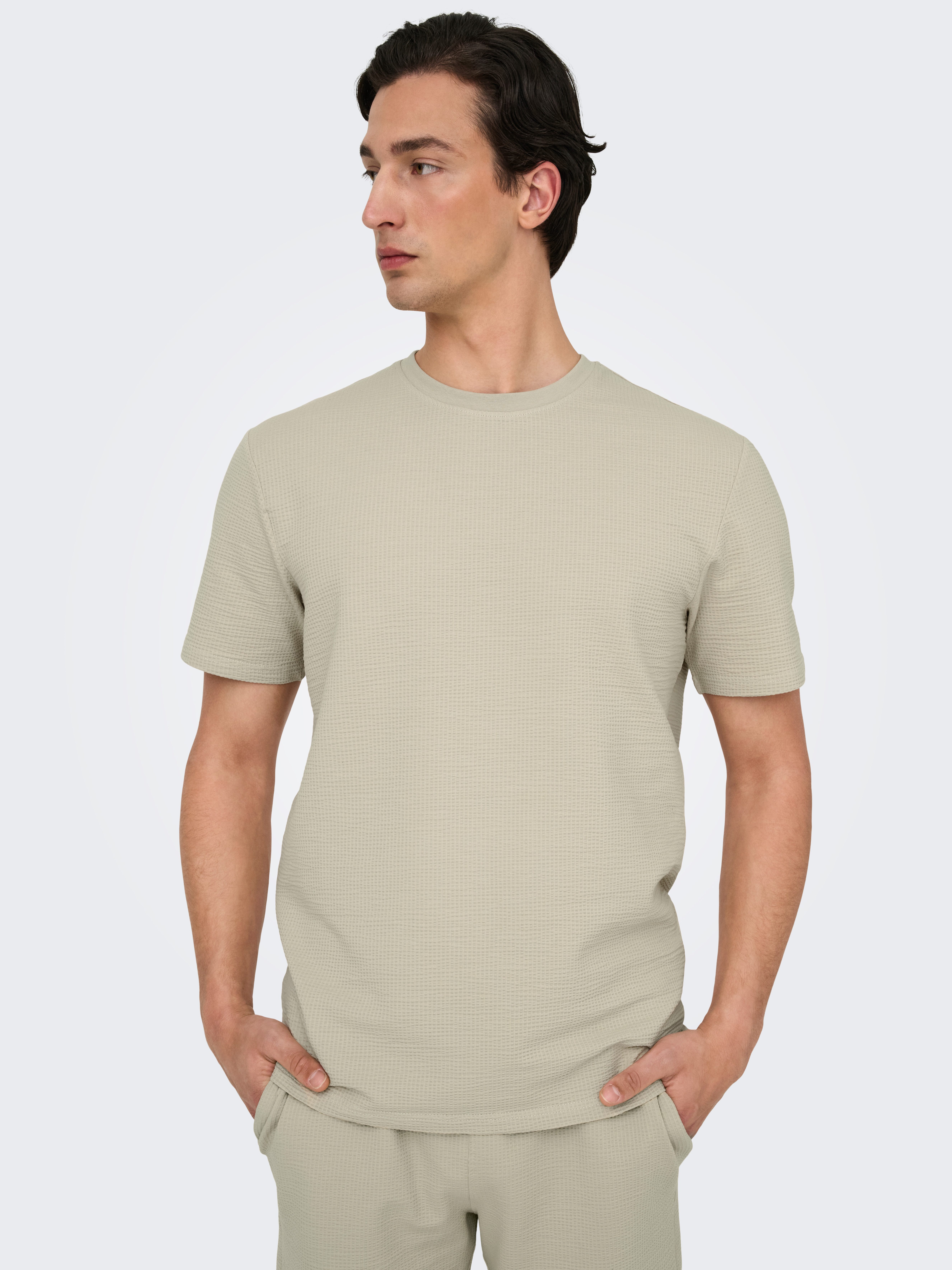 ONLY & SONS Rundhalsshirt ONSKIAN LIFE REG SEERSUCKER SS TEE NOOS günstig online kaufen