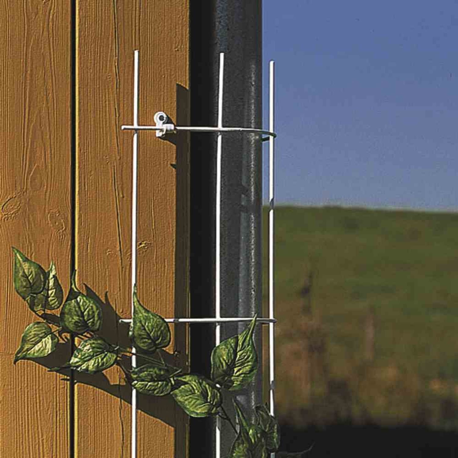 Siena Garden Rankhilfe Fallrohrgitter 150 cm hamm HS für Fallrohr bis Ø
