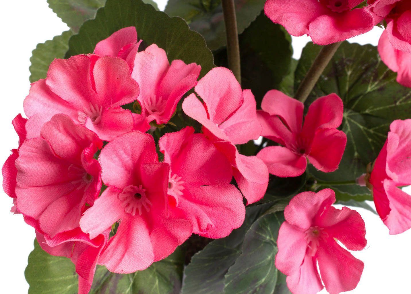 Kunstblume Geranienbusch mit 6 Blütenköpfen, Botanic-Haus, Höhe 30 cm – Bild 2 von 3