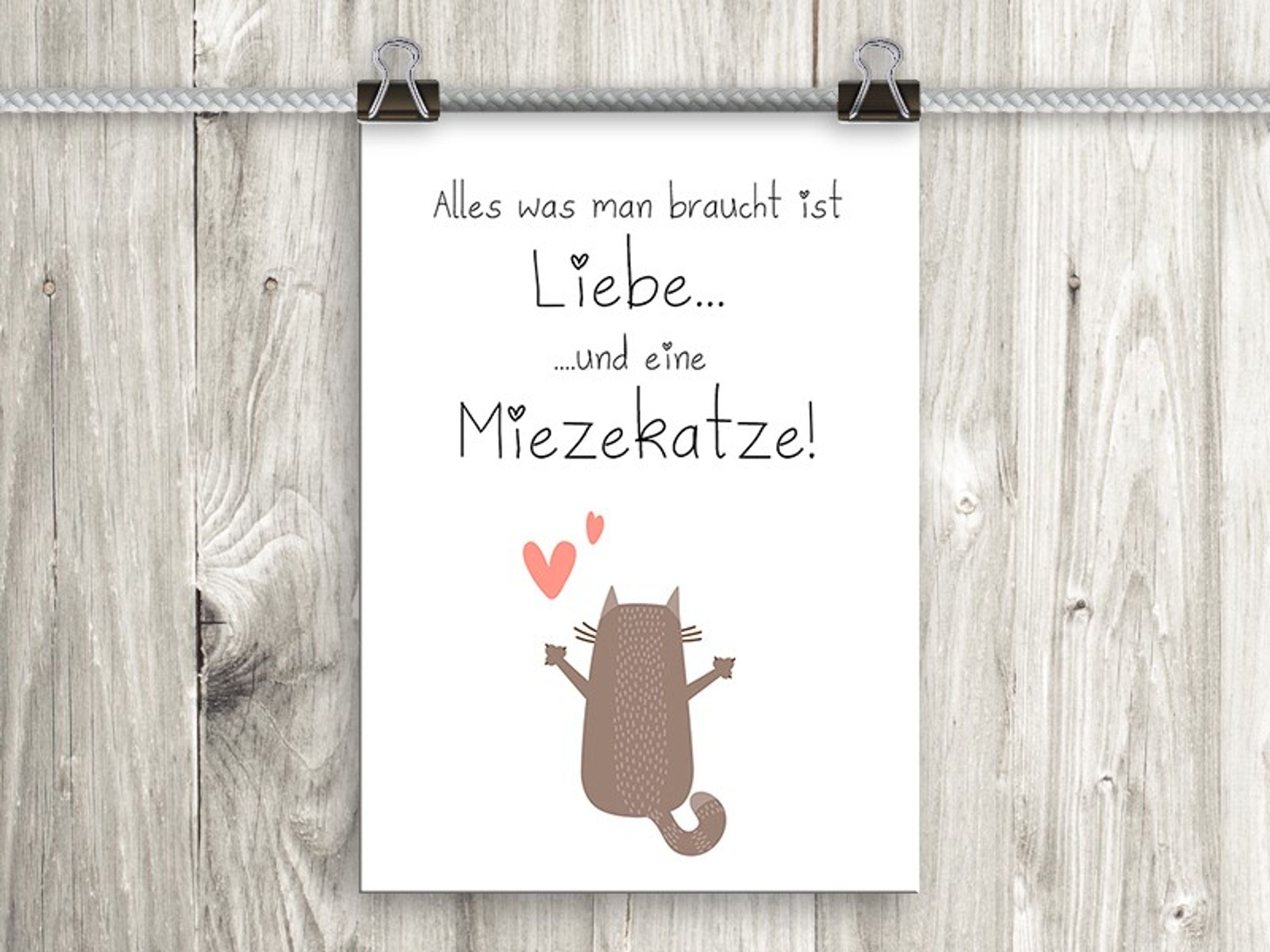 artissimo Poster Poster mit Spruch DinA4 Bild Wandbild Sprüche Text Katze Liebe, witzige Zitate und Sprüche: Katze