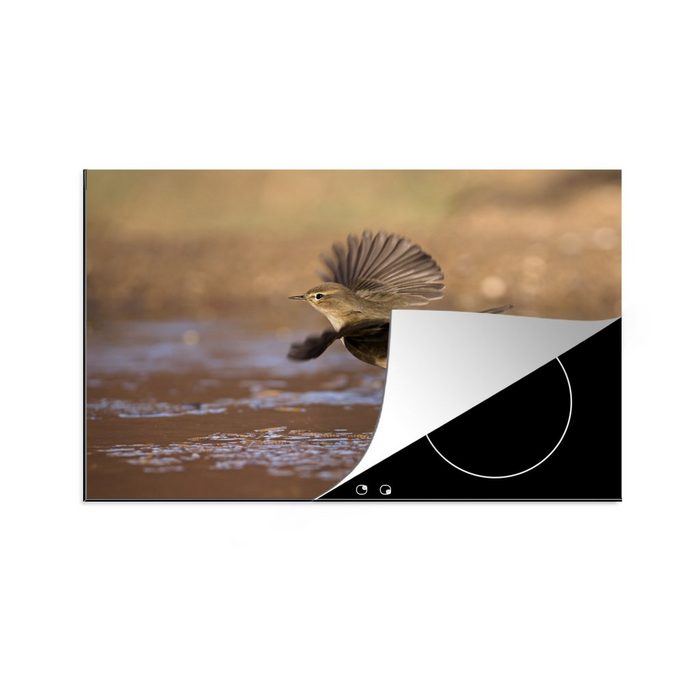 MuchoWow Herdblende-/Abdeckplatte Ein Zilpzalp fliegt über dem Wasser Vinyl (1 tlg) induktionskochfeld Schutz für die küche Ceranfeldabdeckung