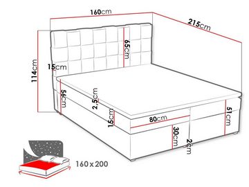 MIRJAN24 Boxspringbett Malmo Box (mit zwei Bettkästen für die Bettwäsche), 140/160/180 cm, Polsterkopfteil, Topper, Bonellfederkern