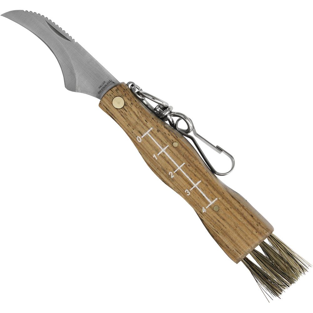 Haller Messer Taschenmesser Pilzmesser klappbar mit Zebraholzgriff und Bürste, rostfrei