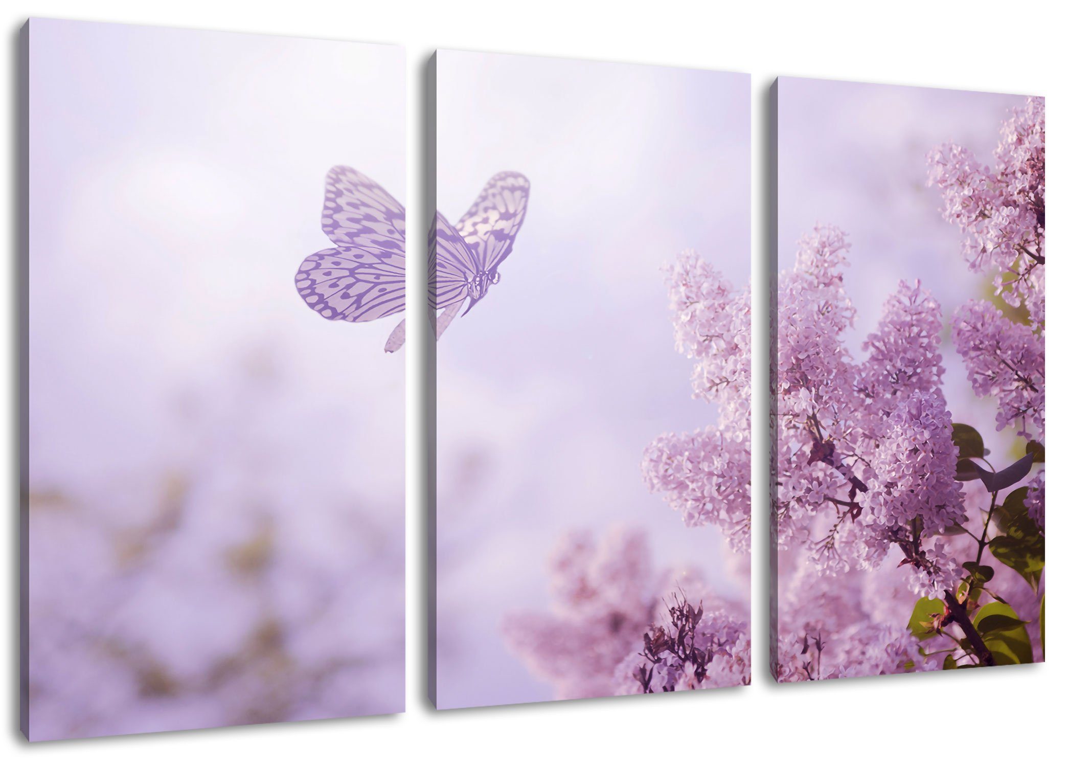 Pixxprint Leinwandbild Schmetterling Kirschblüten, Schmetterling Kirschblüten 3Teiler (120x80cm) (1 St), Leinwandbild fertig bespannt, inkl. Zackenaufhänger