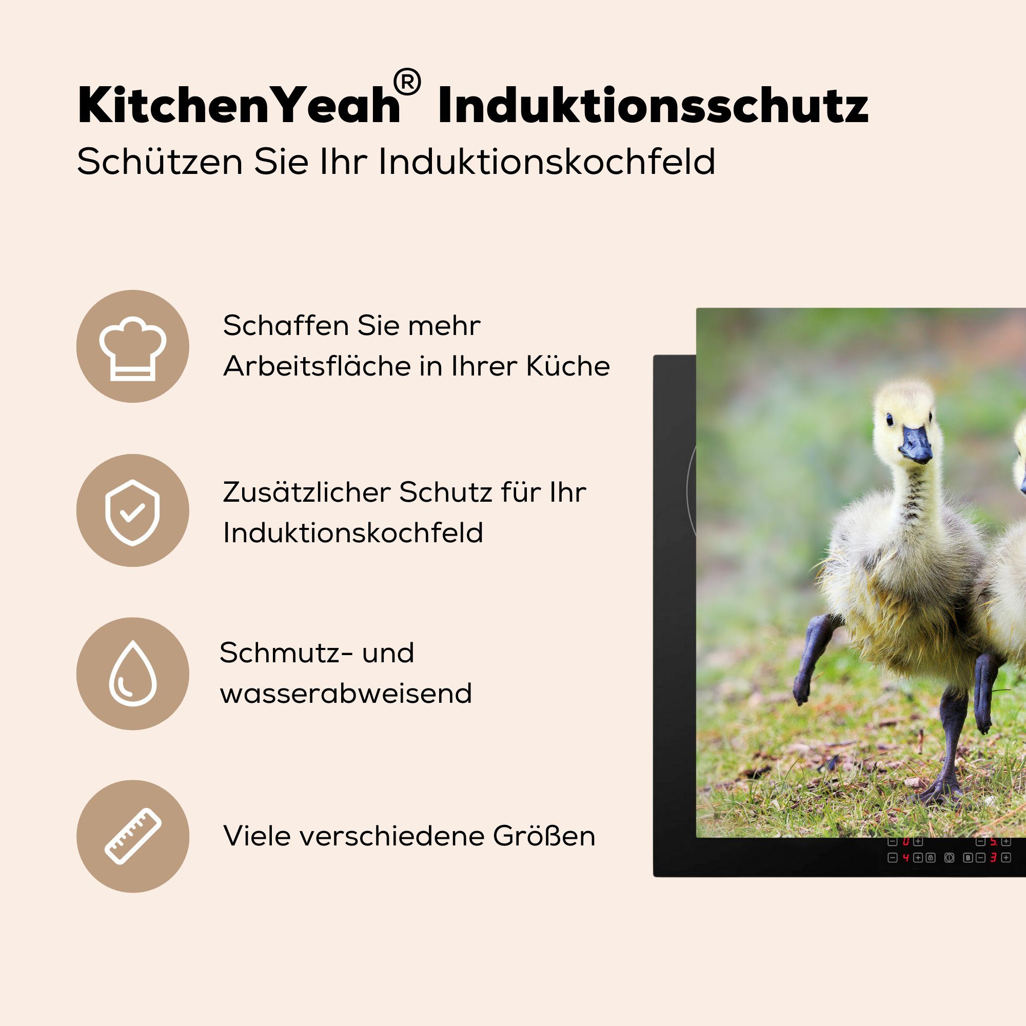 (1 tlg), Gras, Herdblende-/Abdeckplatte küche MuchoWow Vinyl, Küken Ceranfeldabdeckung, cm, für 78x78 - Gans - Arbeitsplatte