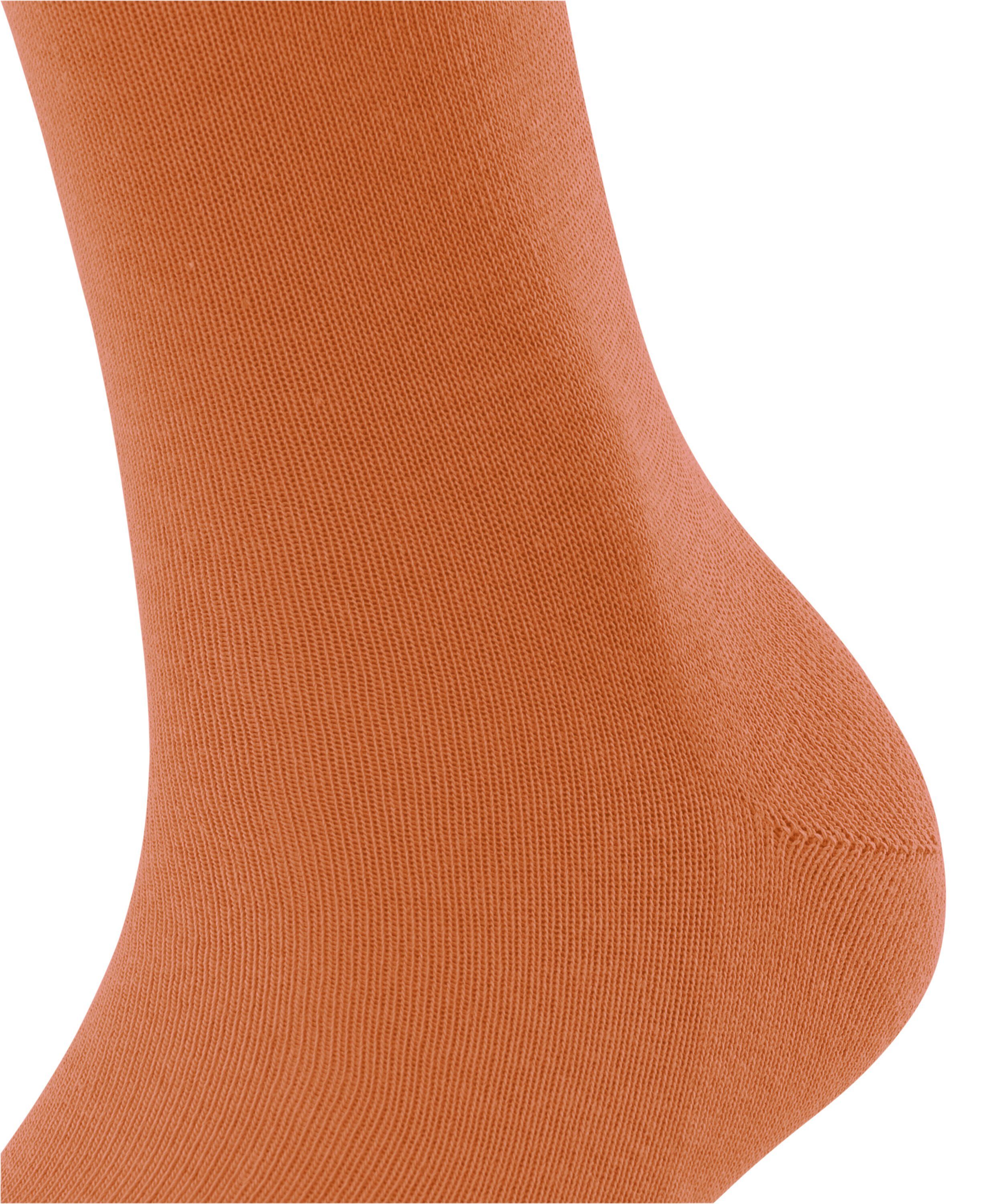 Family tandoori FALKE (8576) (1-Paar) Socken