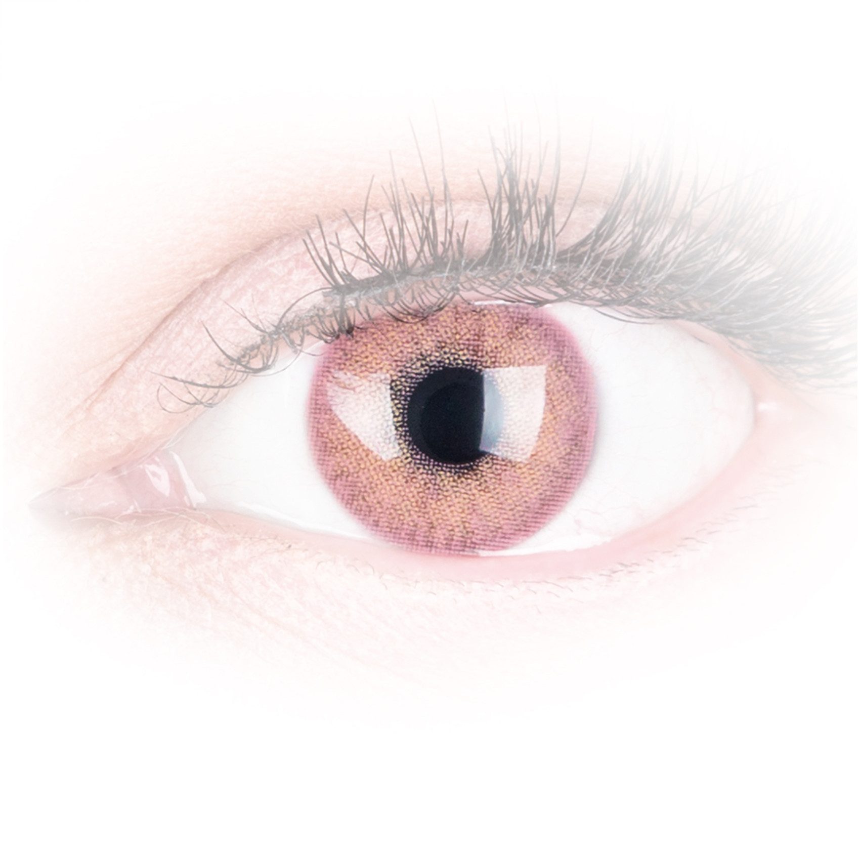 GLAMLENS Monatslinsen Sehr stark deckende und natürliche pinke Linsen "Jasmine Pink"