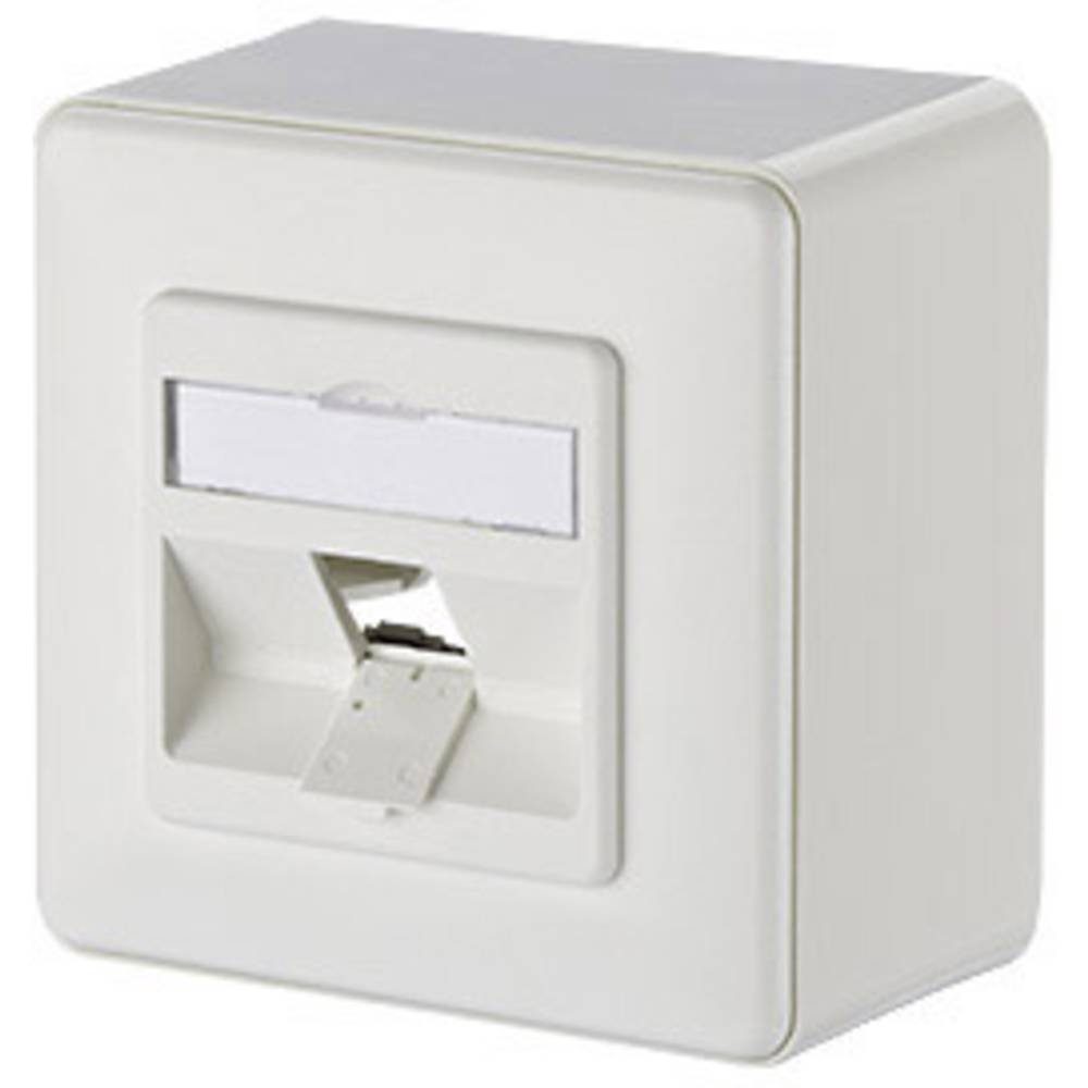 Modul Anschlussdose AP 1 Port unbestückt 43 mm Netzwerk-Adapter