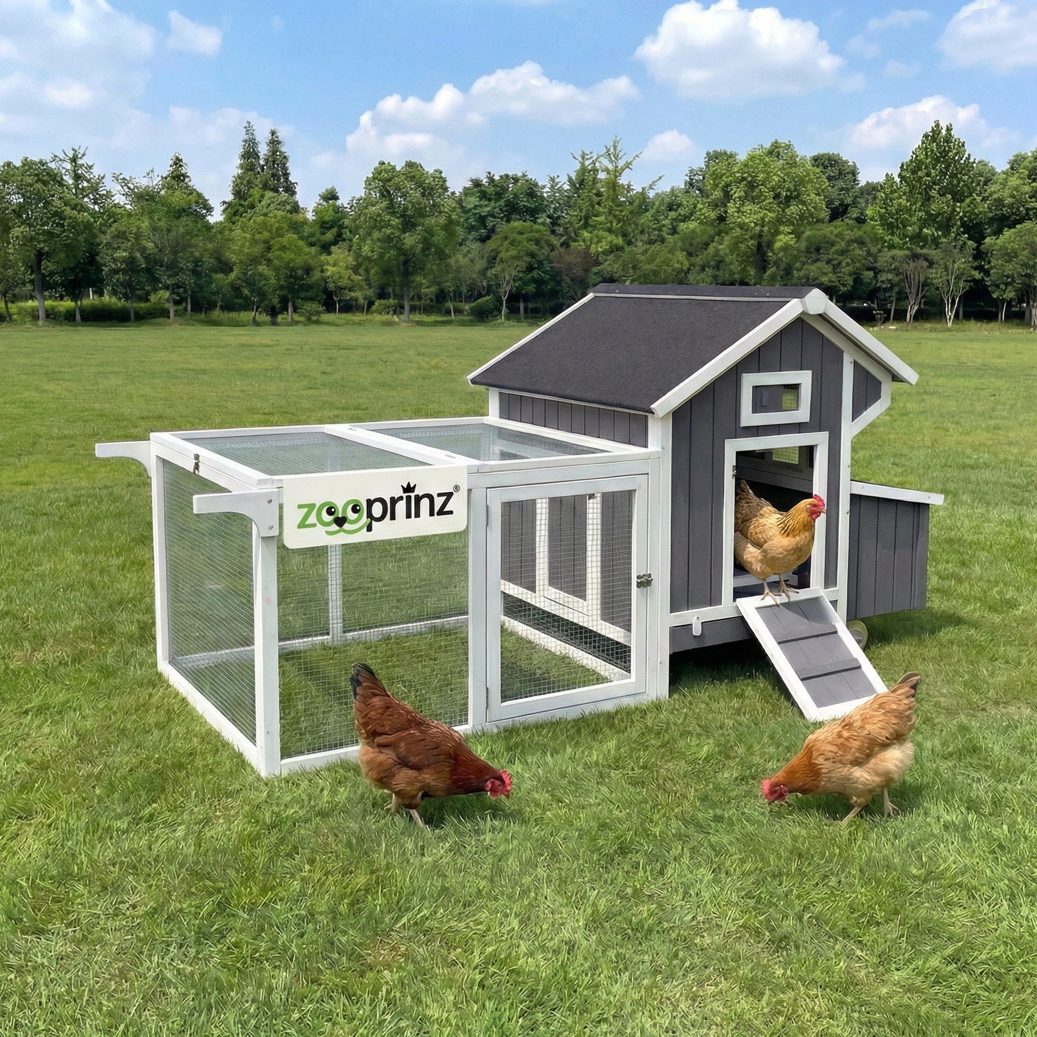 Zooprinz Hühnerstall Hühnerhaus Hühnervoliere Franzi mit Rollen Klappdach XXL, Sitzstangen, 3x Legenester, Freigehege