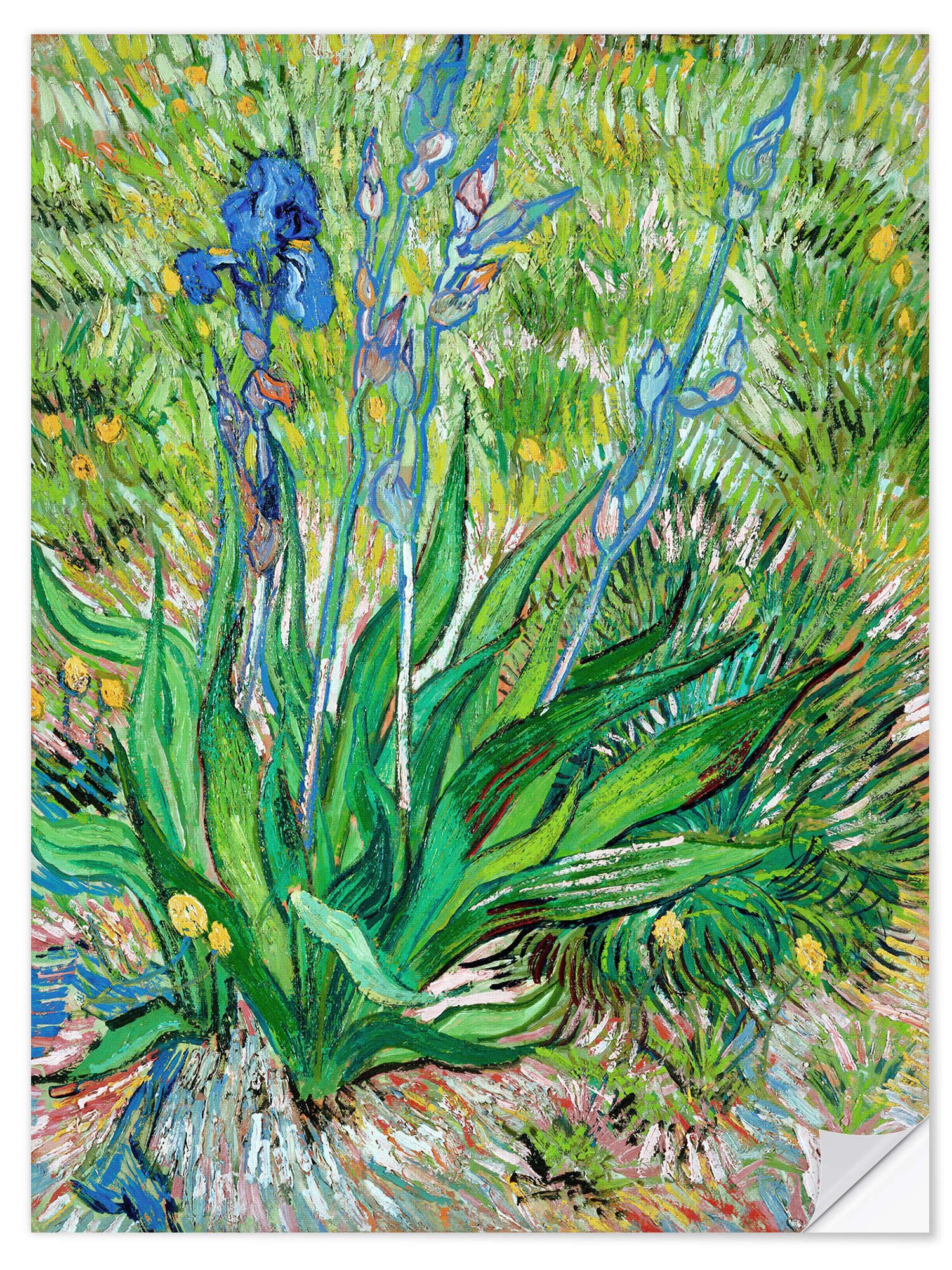 Wandfolie Vincent van Gogh