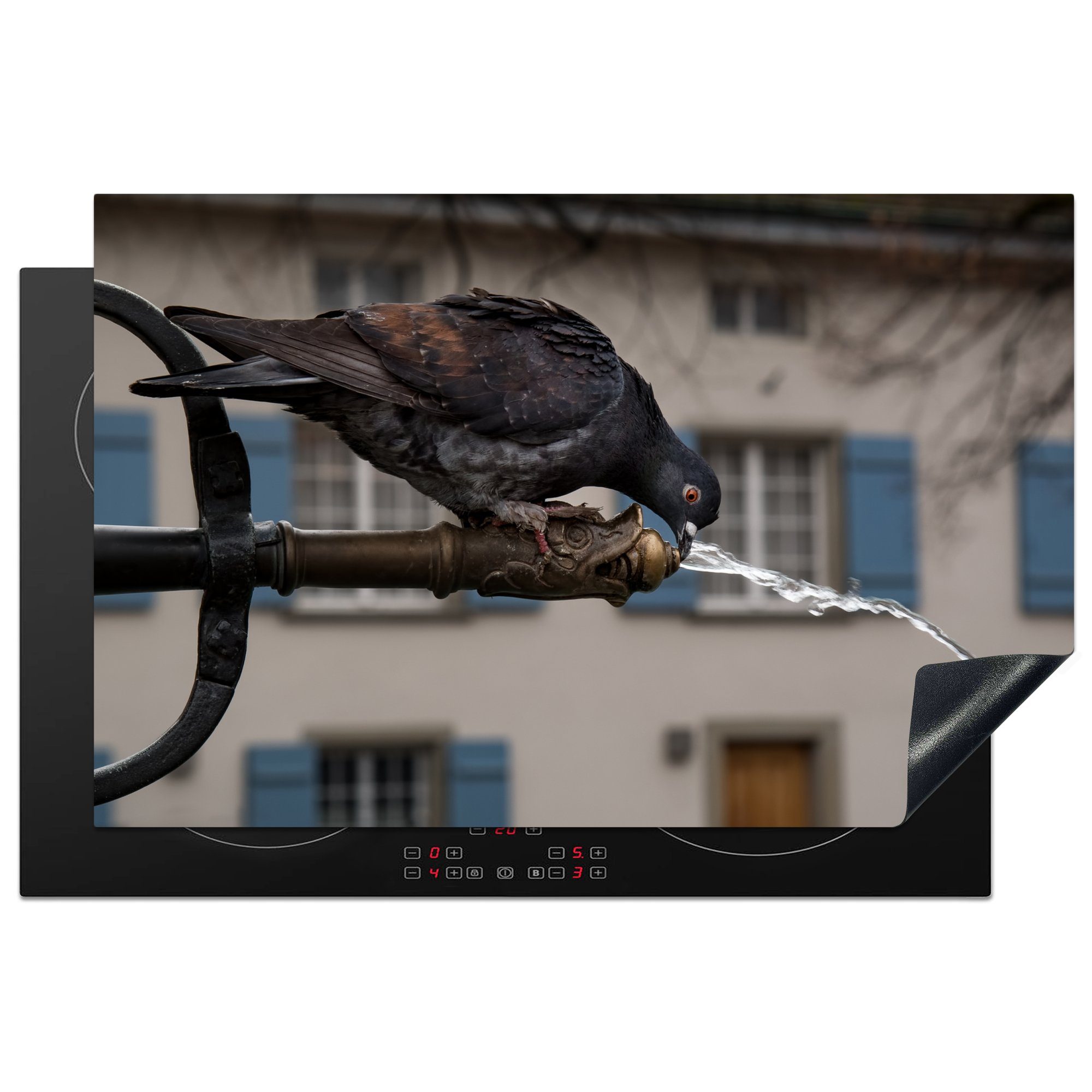 MuchoWow Herdblende-/Abdeckplatte Taube - Getränk - Vogel, Vinyl, (1 tlg), 81x52 cm, Induktionskochfeld Schutz für die küche, Ceranfeldabdeckung