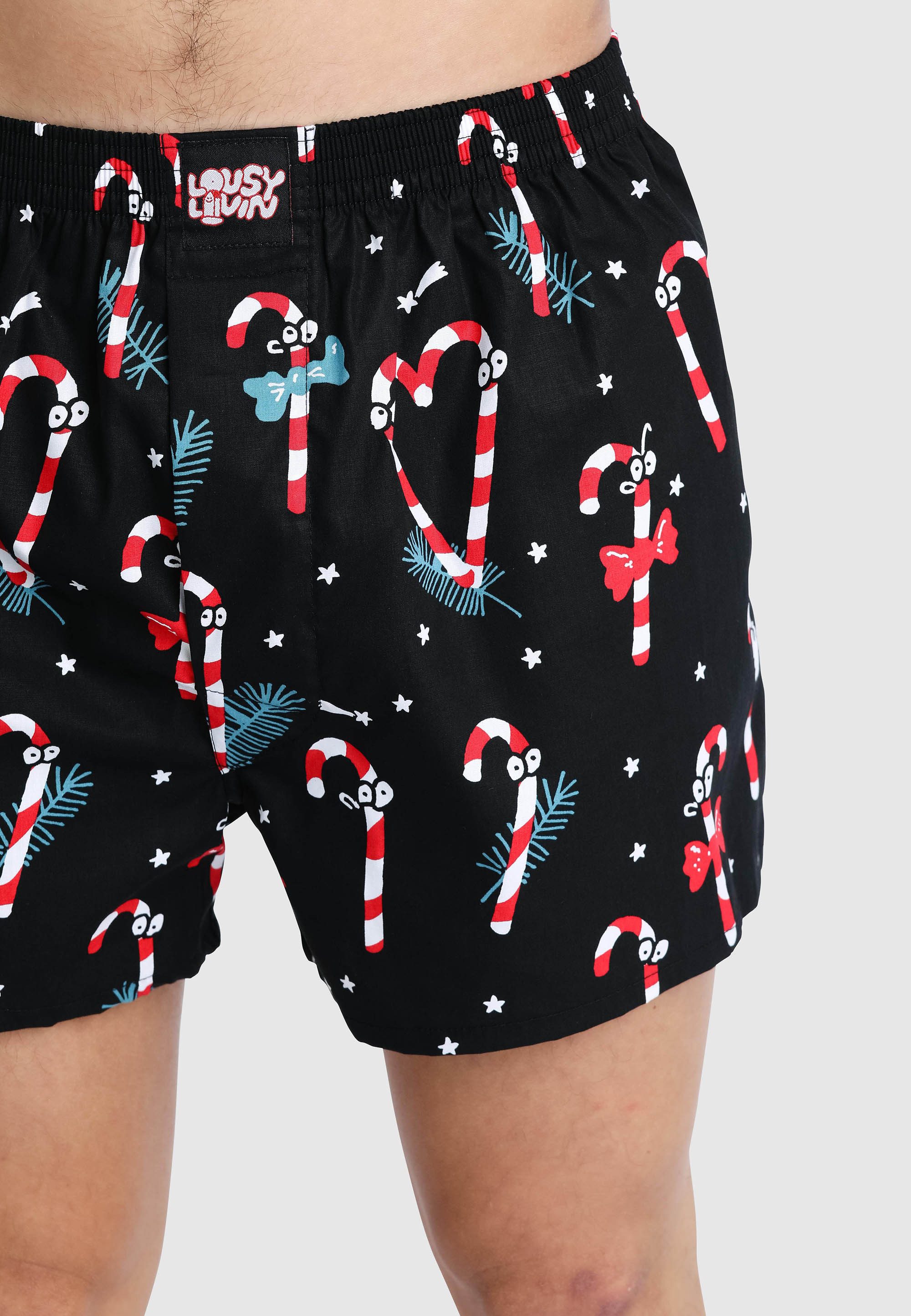 Lousy Livin Boxershorts Santa mit Wihnachtsmann Print