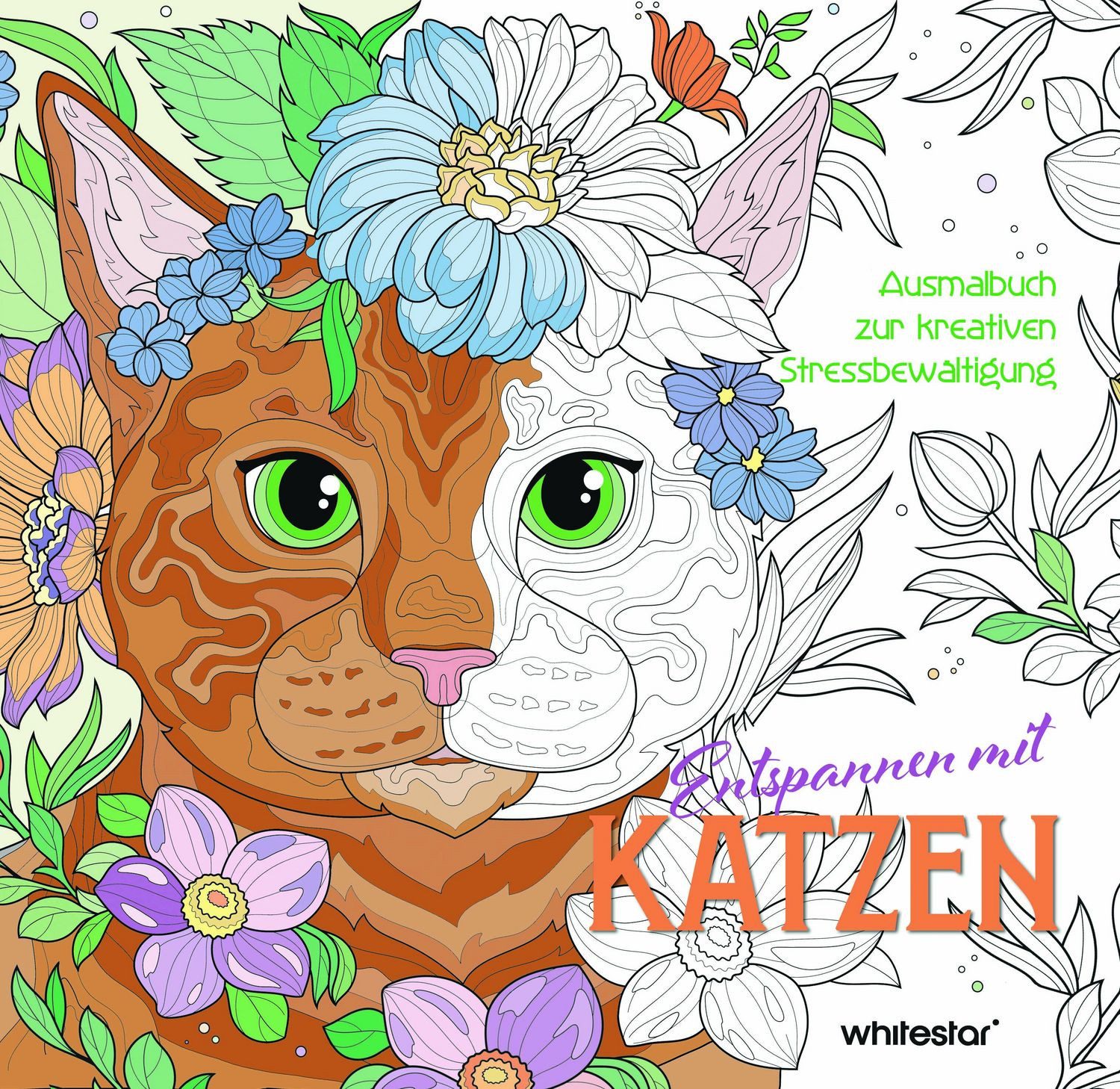 Entspannen mit Katzen / diverse