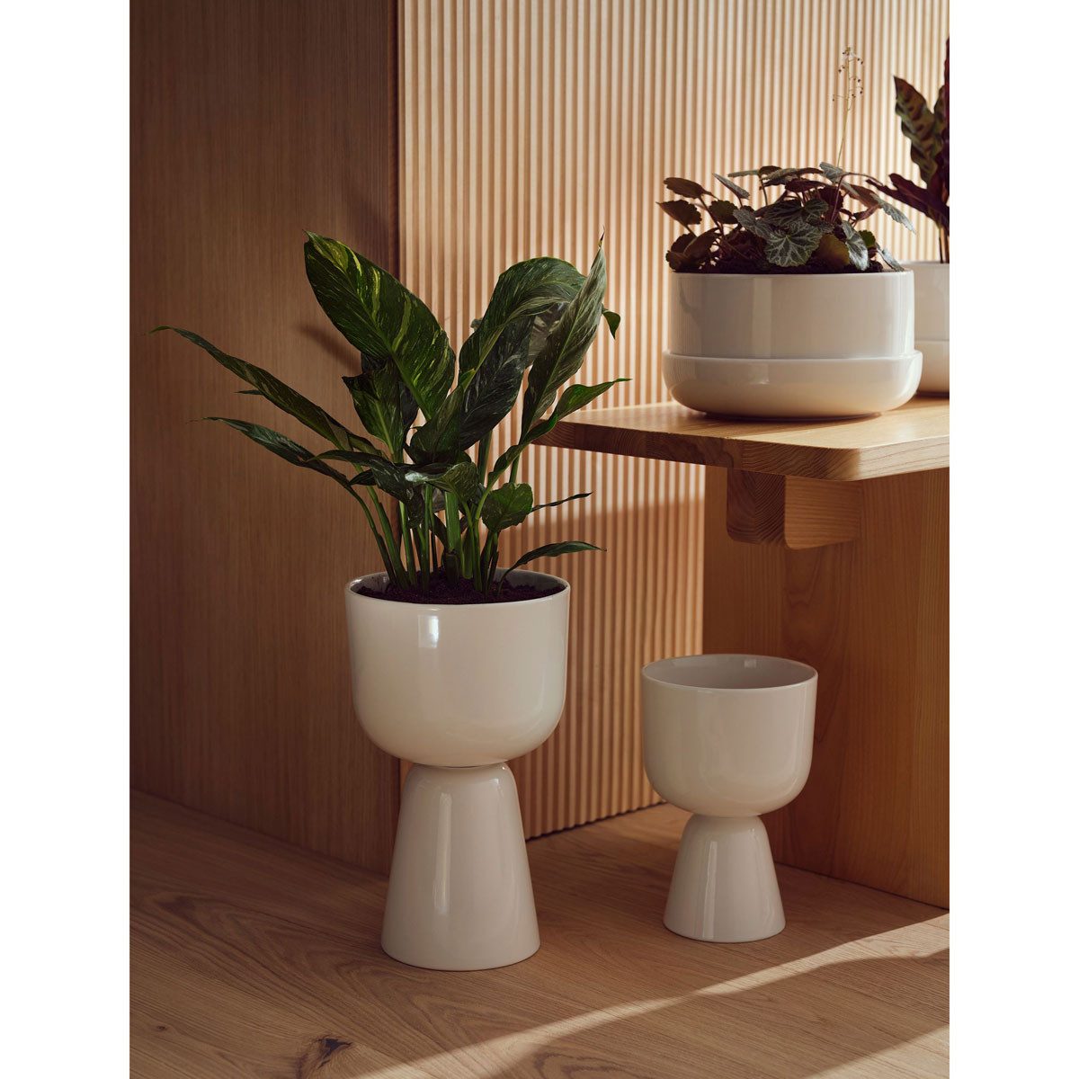 IITTALA Blumentopf Nappula