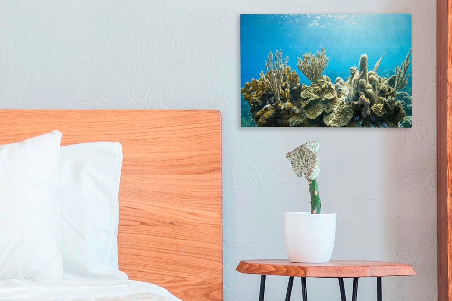 30x20 (1 Meer, klaren Aufhängefertig, Leinwandbild Korallen Leinwandbilder, in cm Wanddeko, Wandbild St), einem OneMillionCanvasses®
