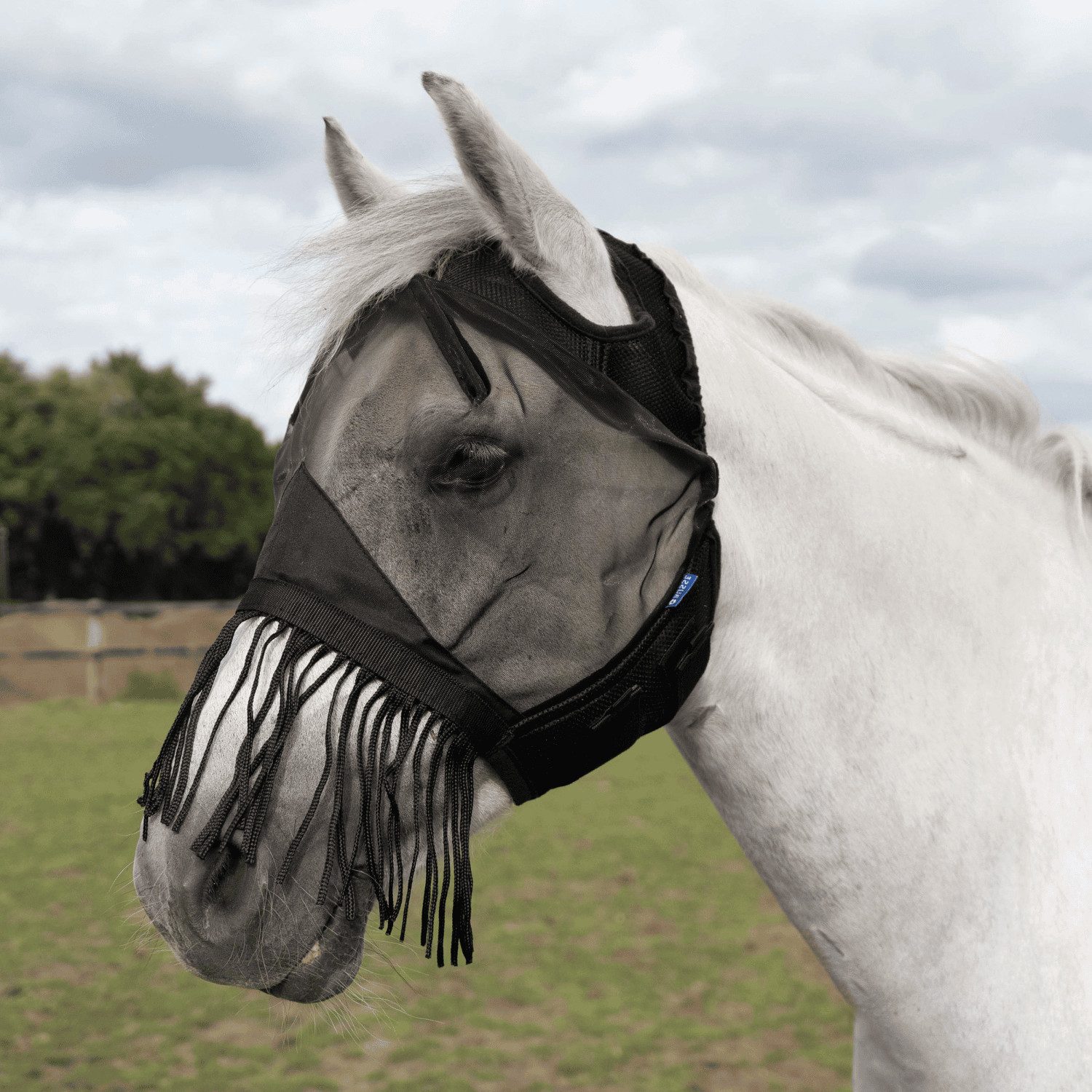 BUSSE Fliegenmasken Fliegenmaske Fly Cover Fransen Gap