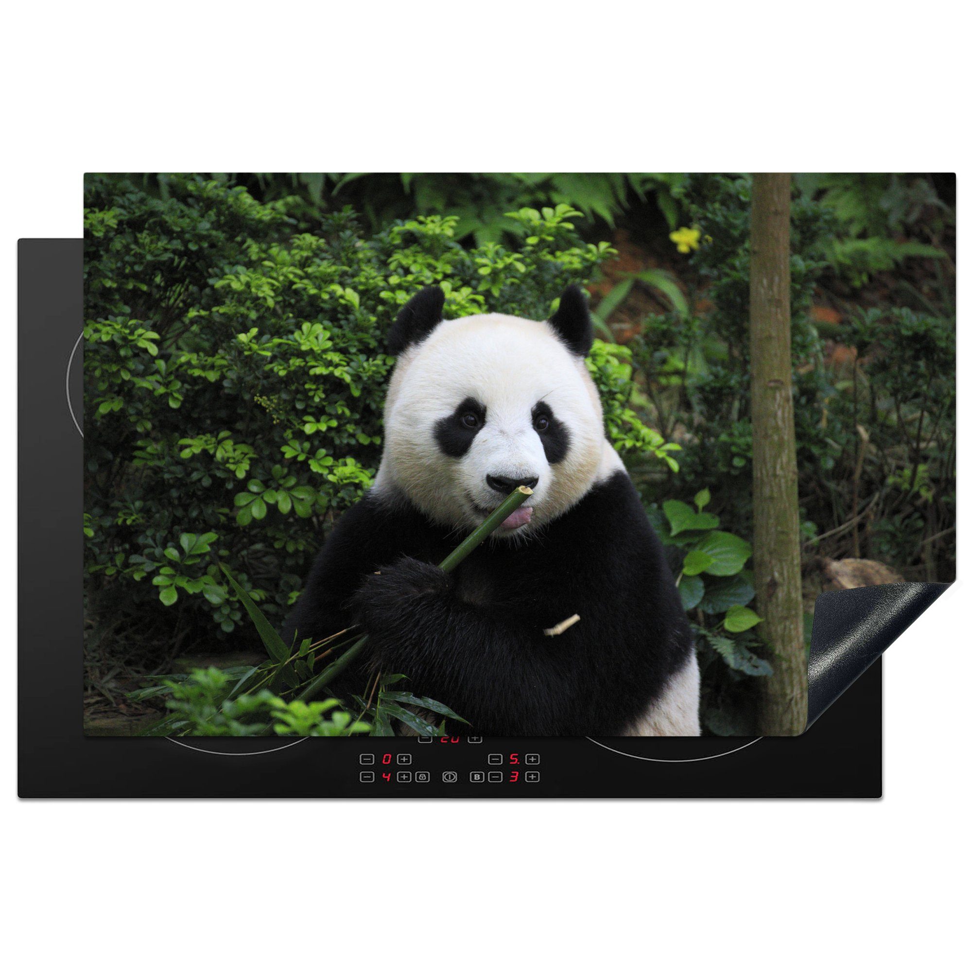 MuchoWow Herdblende-/Abdeckplatte Panda - Bambus - Wald, Vinyl, (1 tlg), 81x52 cm, Induktionskochfeld Schutz für die küche, Ceranfeldabdeckung