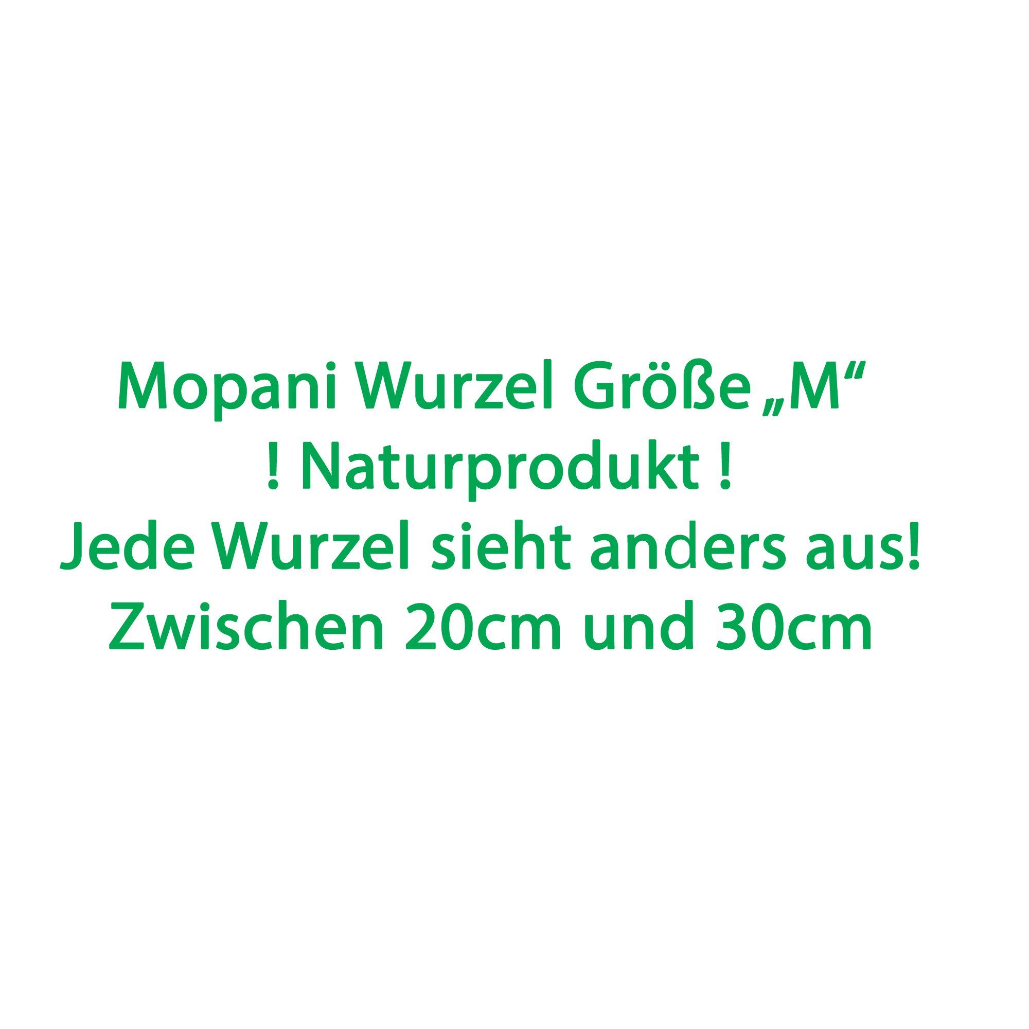 Deggelbam Aquarium Mopani Wurzel Eisenholzwurzel Aquarium versch. Größen S-XL, Echtholzwurzel zur Aquariumdekoration, Aquascaping