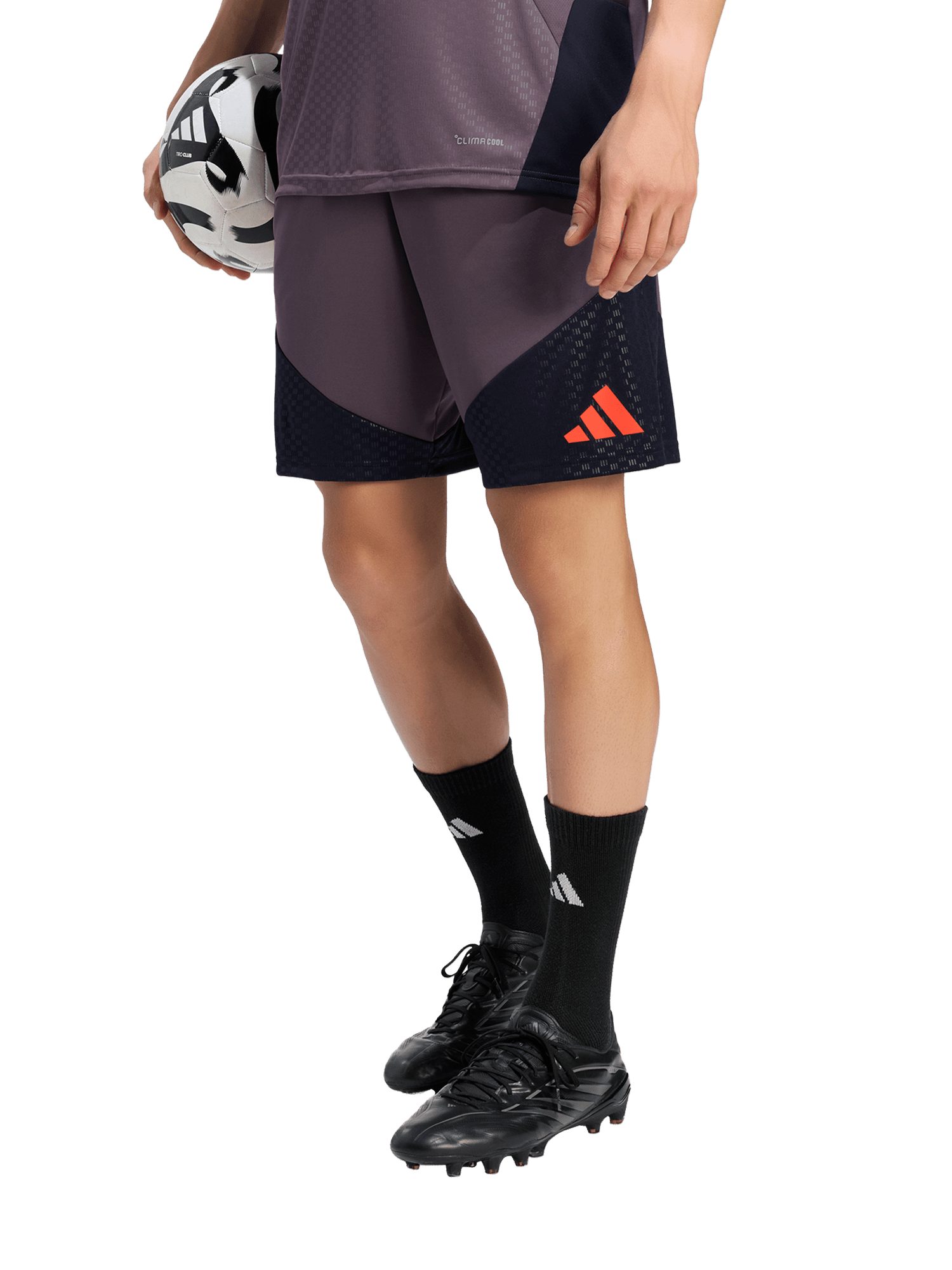 adidas Performance Sweatshorts FC Bayern München, Trainingsshort UCL Teamline, Herren, Lila
