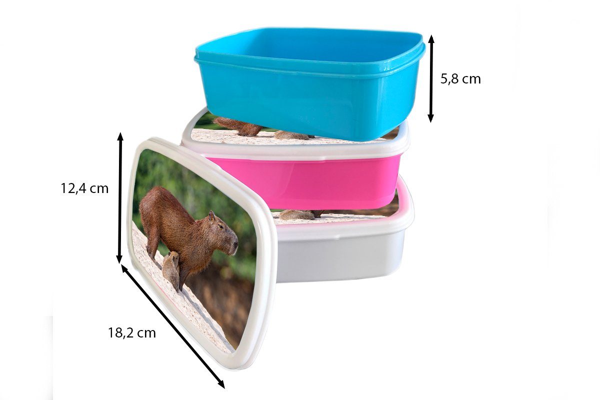 Zwei für Snackbox, (2-tlg), füttern Kunststoff Brotbox Kunststoff, einer Kinder, Fluss, ihre rosa Lunchbox auf Mädchen, Wasserschweine Brotdose Sandbank am MuchoWow Erwachsene, Mutter