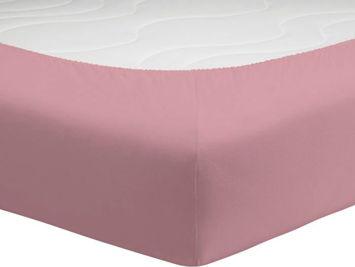 Schlafgut Spannbettlaken Mako-Jersey aus 100% Baumwolle, günstig online kaufen