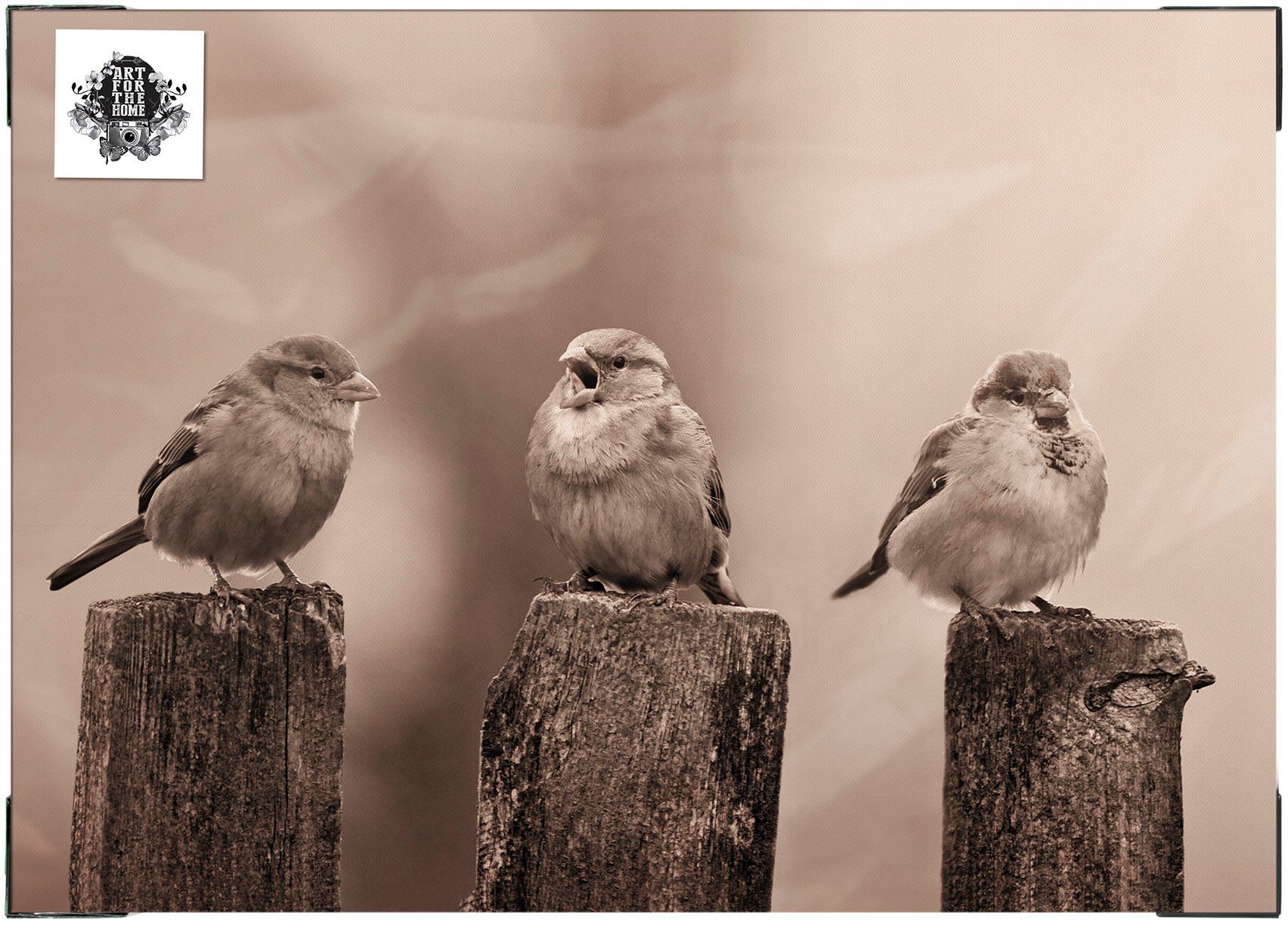 Art for the home Leinwandbild Outdoor Vogel 50x70cm, Romantisch, Strand (1 St), Leinwand für draußen- Early Birds - Sepia - 50x70cm