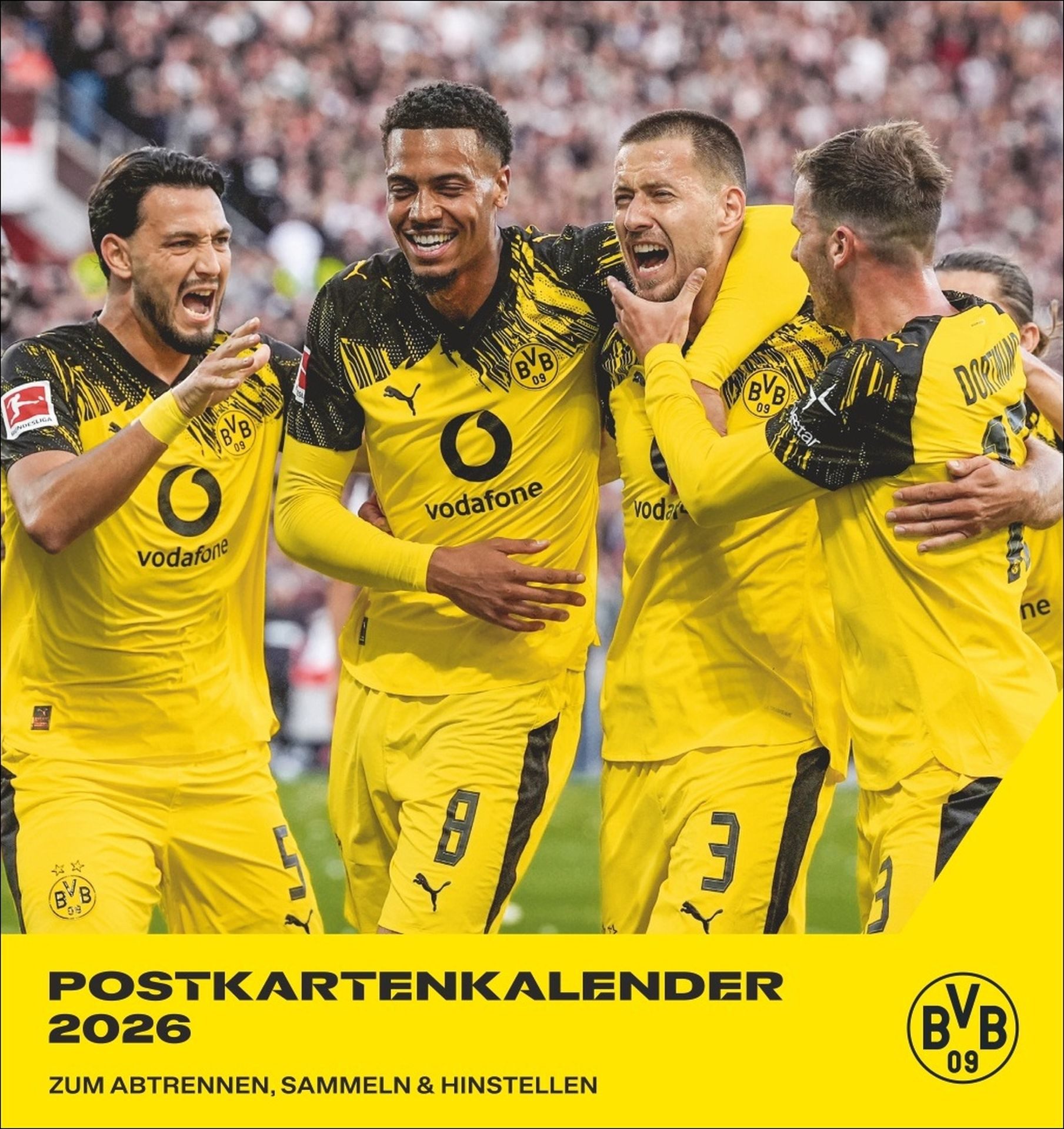 Athesia Календариverlag Настенный календарь BVB Postkartenkalender 2026