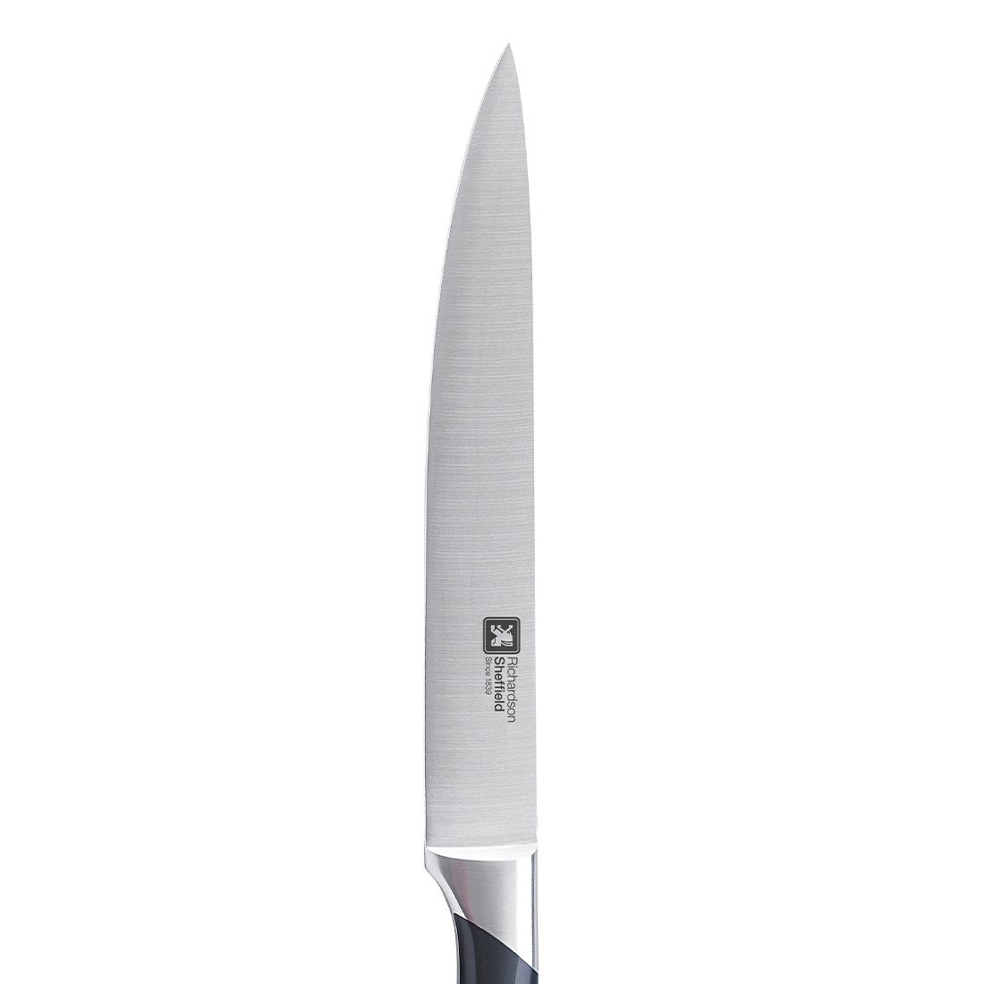 Richardson Sheffield Tranchiermesser R:VISION, Klingenstahl 50CrMoV15, sehr scharf