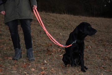 Activity4Dogs Hundeleine Nylon Reflex reflektierend Signal-orange, 2 m, 3-fach verstellbar, über 4 mm dick, batterie-los, made in Germany