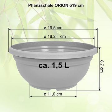 Heimwerkercenter Pflanzschale MePla - 3 Stück Pflanzschale ORION mit Bodenloch ø19 cm, Blaulila, wetterfest aus UV-beständigem Kunststoff