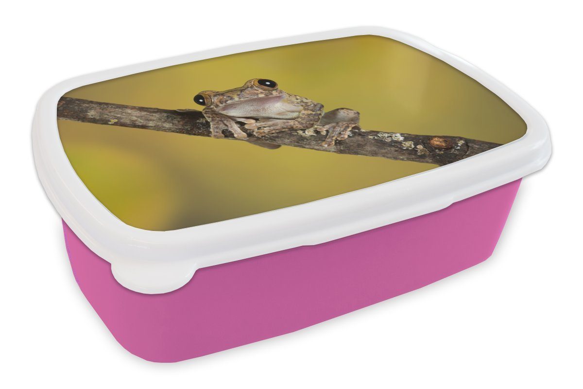 Lunchbox Brotbox Brotdose (2-tlg), - Zweig Kinder, rosa Kunststoff, Snackbox, Erwachsene, Kunststoff - Mädchen, MuchoWow Frosch Gelb, für