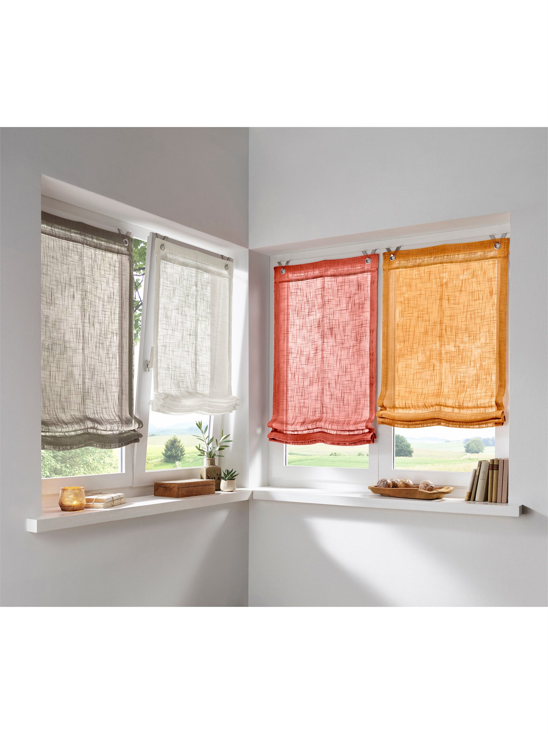 Rollo Raffrollo, heine, halbtransparent, Ösen mit Fensterhaken