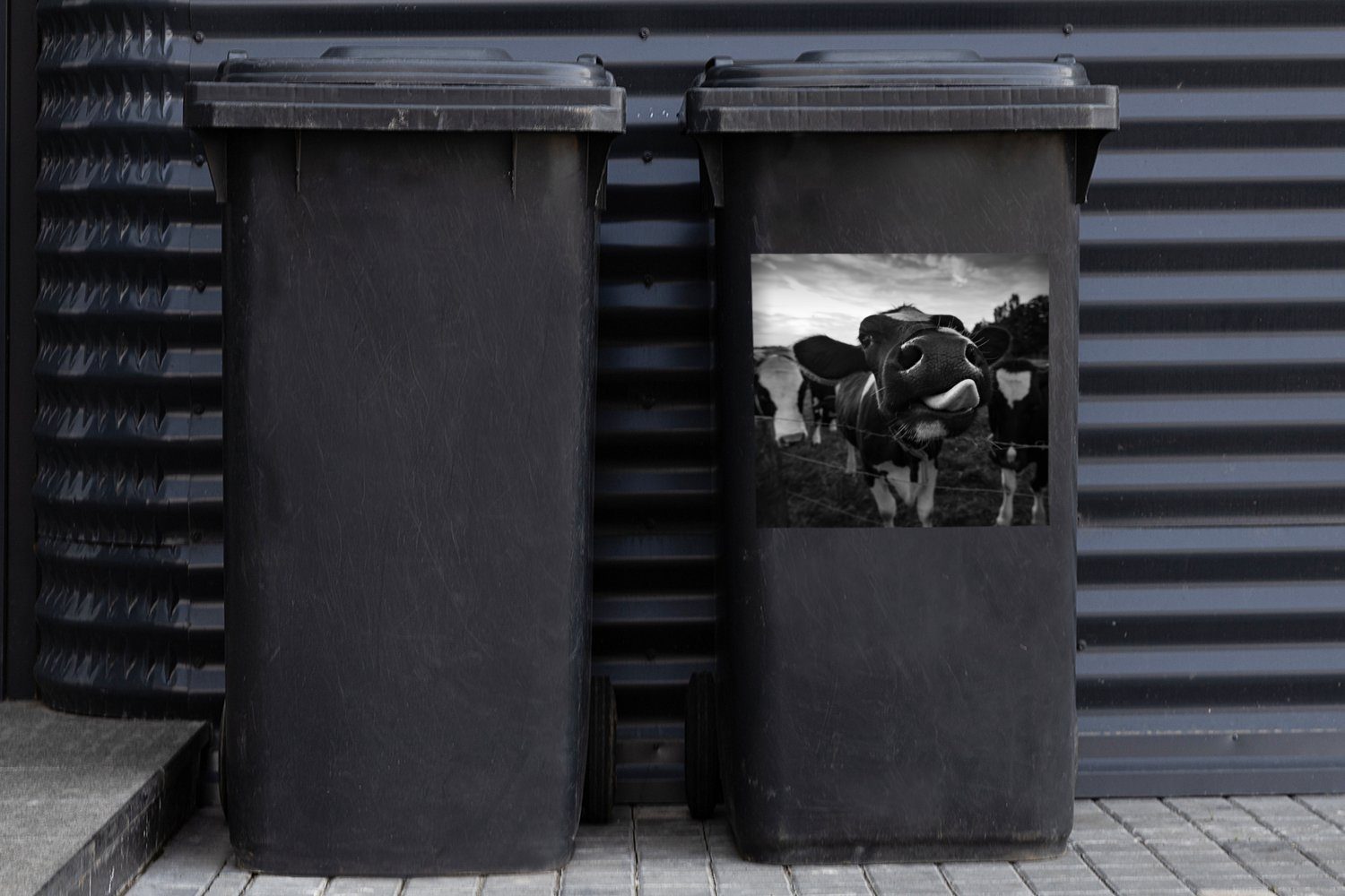 Weiß - Abfalbehälter Schwarz (1 Tiere St), Kuh - Container, Wandsticker MuchoWow Mülleimer-aufkleber, Sticker, Mülltonne, -