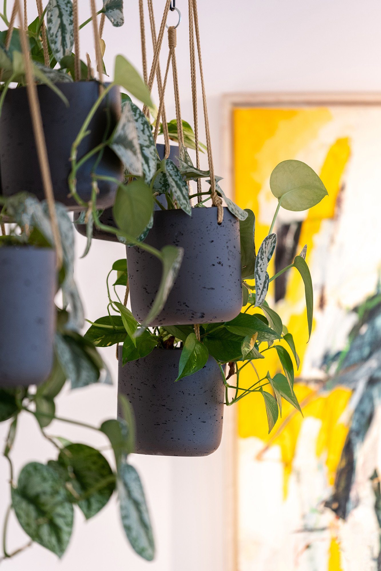 finestgreen Blumenampel Handgefertigte Blumenampel Hanging Charlie günstig online kaufen