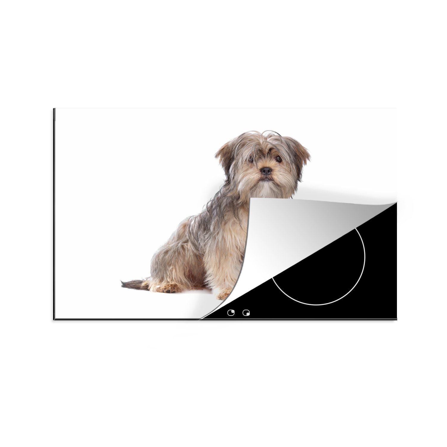 MuchoWow Herdblende-/Abdeckplatte Shih Schutz cm, Hintergrund, die einem Hund 81x52 Tzu für tlg), (1 Ceranfeldabdeckung weißen Induktionskochfeld Vinyl, auf küche