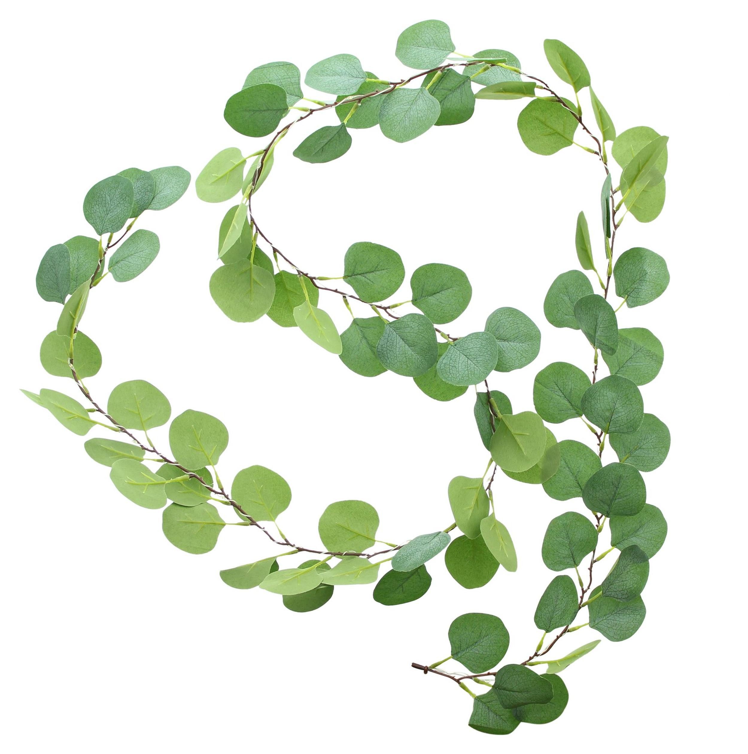 Frank Flechtwaren LED Dekoobjekt LED-Lichterkette "Eukalyptus"