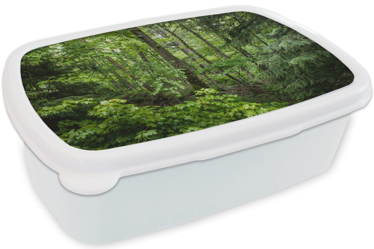 Kinder Erwachsene, Lunchbox Brotbox weiß für Mädchen und Wald Baum Grün, Jungs für und - - (2-tlg), Brotdose, MuchoWow Kunststoff,