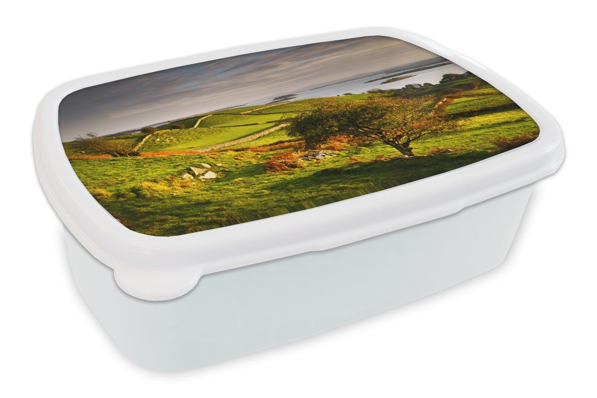 MuchoWow Lunchbox Sonnenuntergang in Irland, Kunststoff, (2-tlg), Brotbox für Kinder und Erwachsene, Brotdose, für Jungs und Mädchen weiß