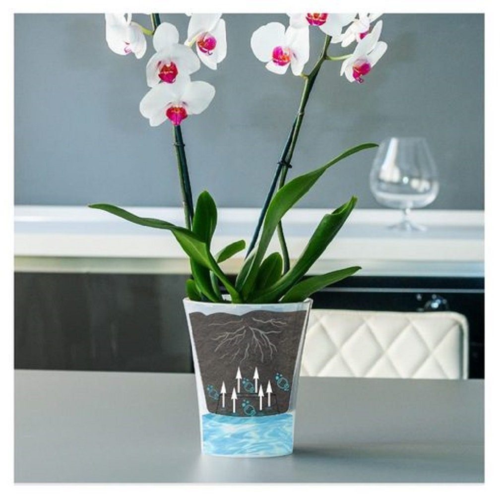 Blumentopf weiß-violett selbstbewässernde + Größen - Santino Farben "Arte" St) (1 div. Pflanztöpfe