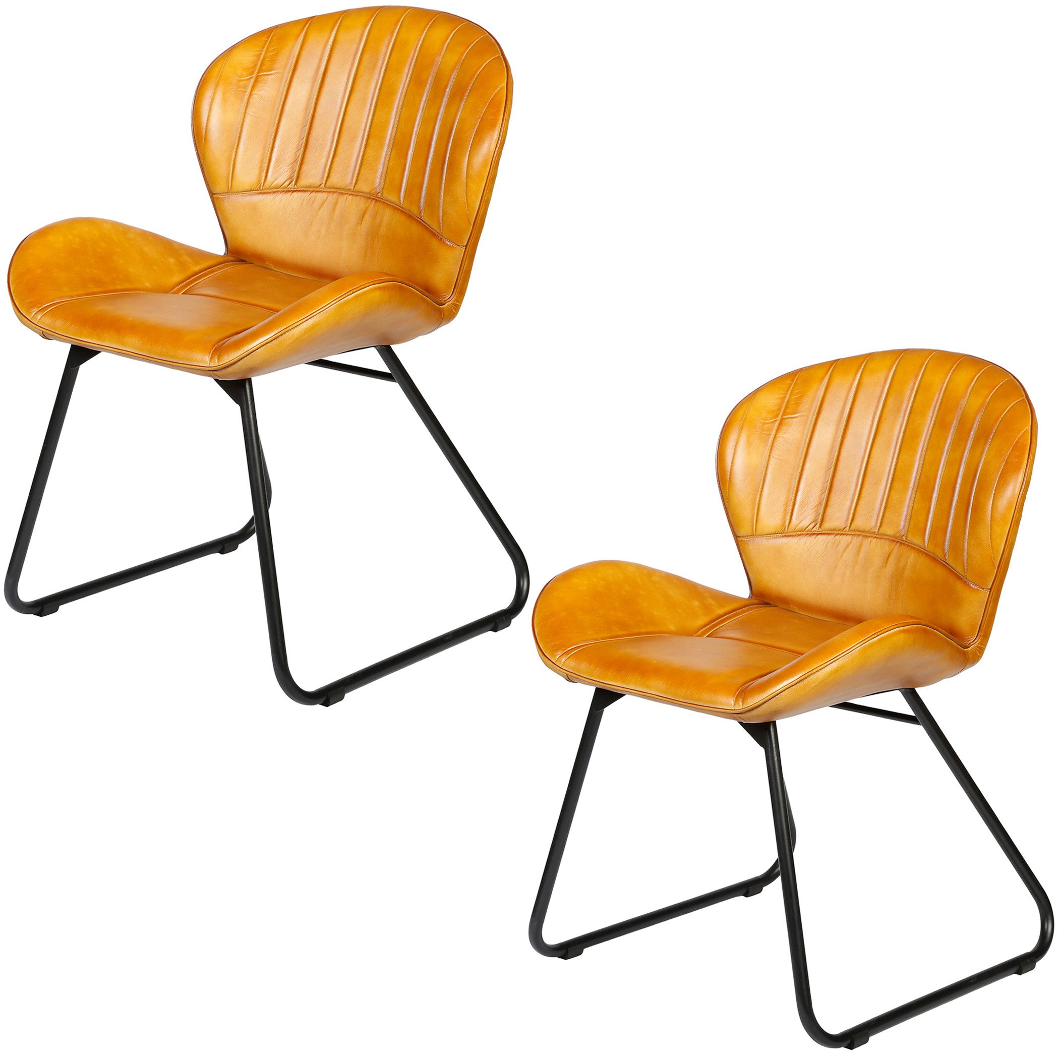 Casa Moro Polsterstuhl Esszimmerstuhl Leder Cognac günstig online kaufen