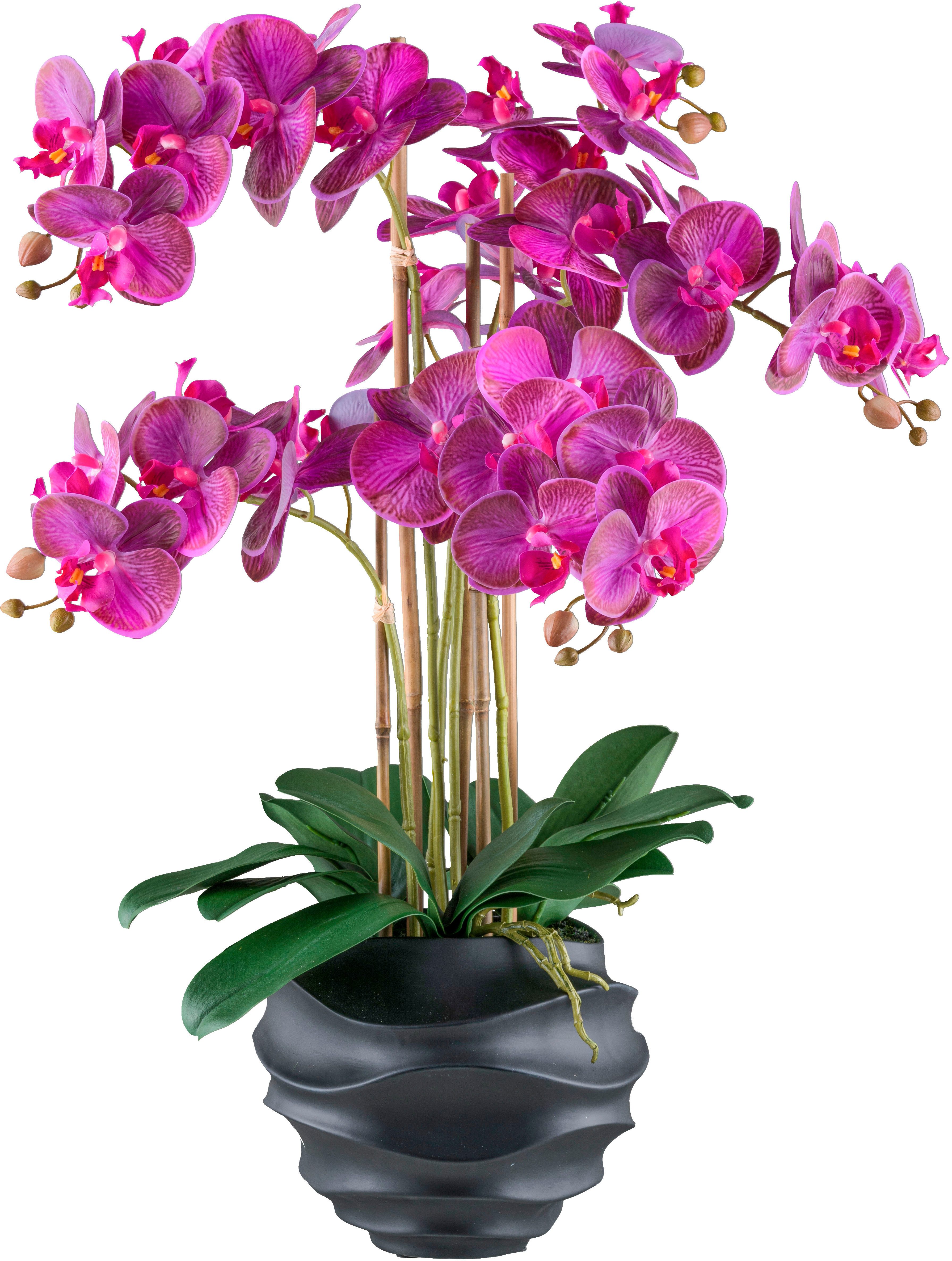 Kunstorchidee Orchidee Phalaenopsis, Creativ green, Höhe 70 cm, im Design-T günstig online kaufen